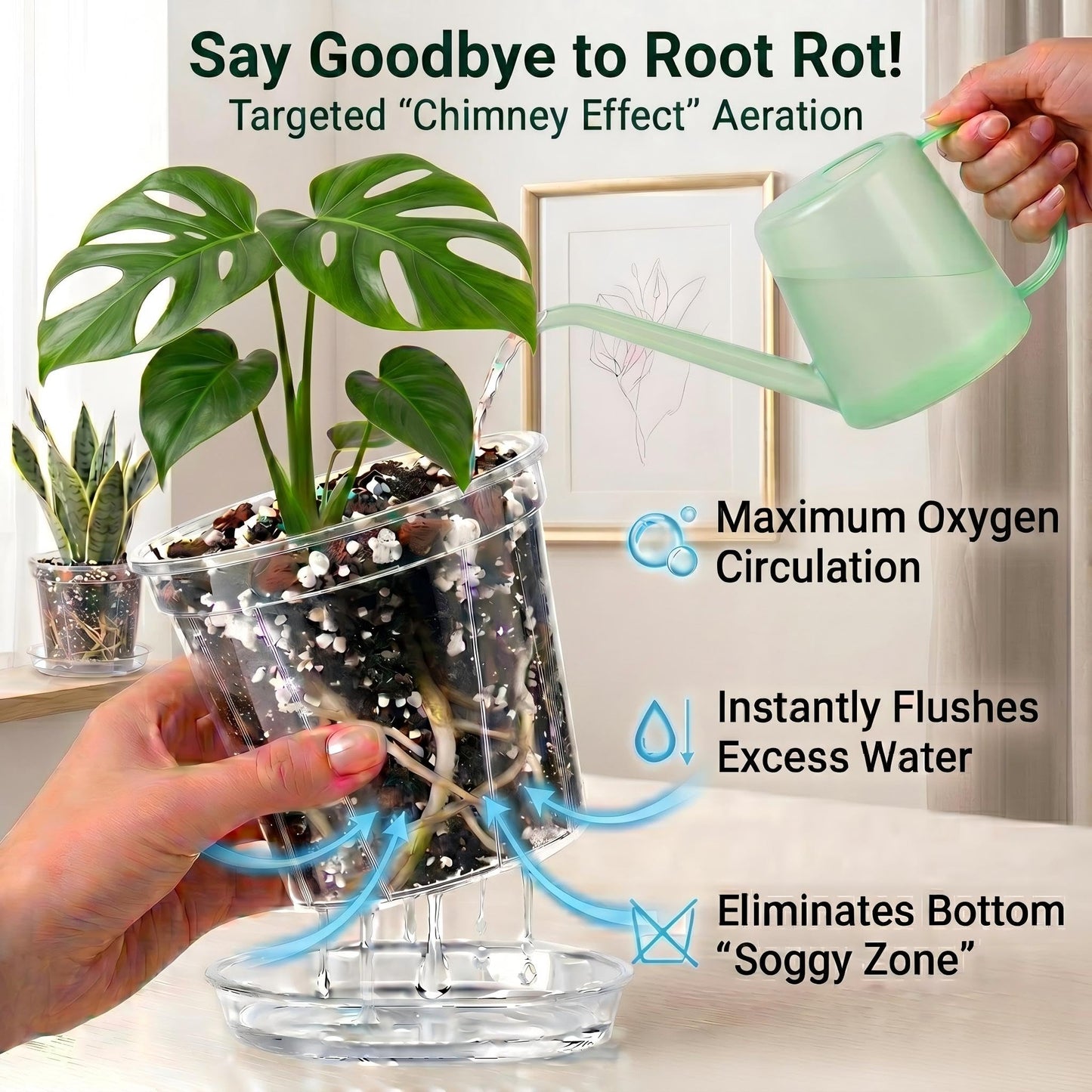Olsury Clear Nursery Pots with Drainage: Stop Root Rot via Side-Bottom Vents & 1-Second Root Check - Heavy Duty Plastic Pots for Indoor Repotting, Orchids & Aroids (20 Pack with Saucers, 4-6 Inch)