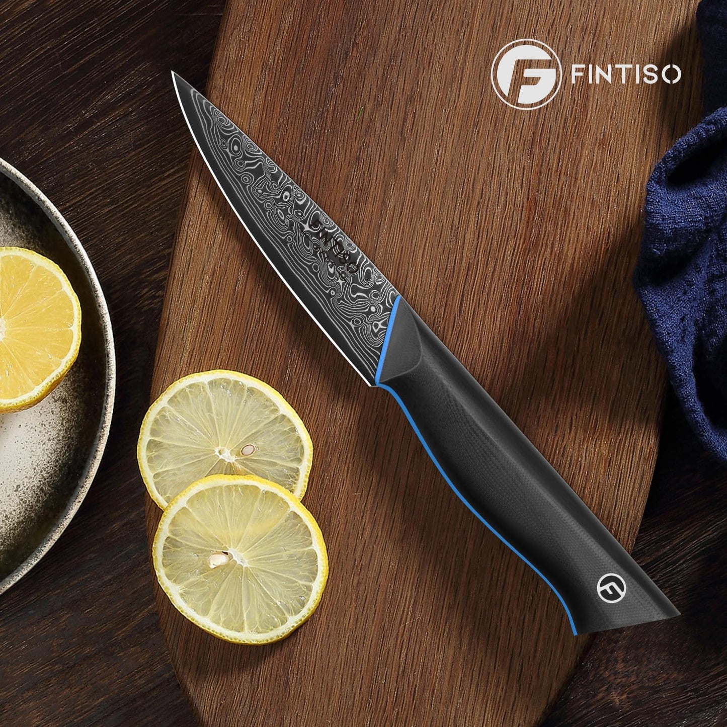 3.75 Inch Paring Knife, Fruit Knives with G10 Handle, 67-Layer Japanese Damascus Steel Forged Small Kitchen Knife, Ultra Sharp Knves with Exquisite Package