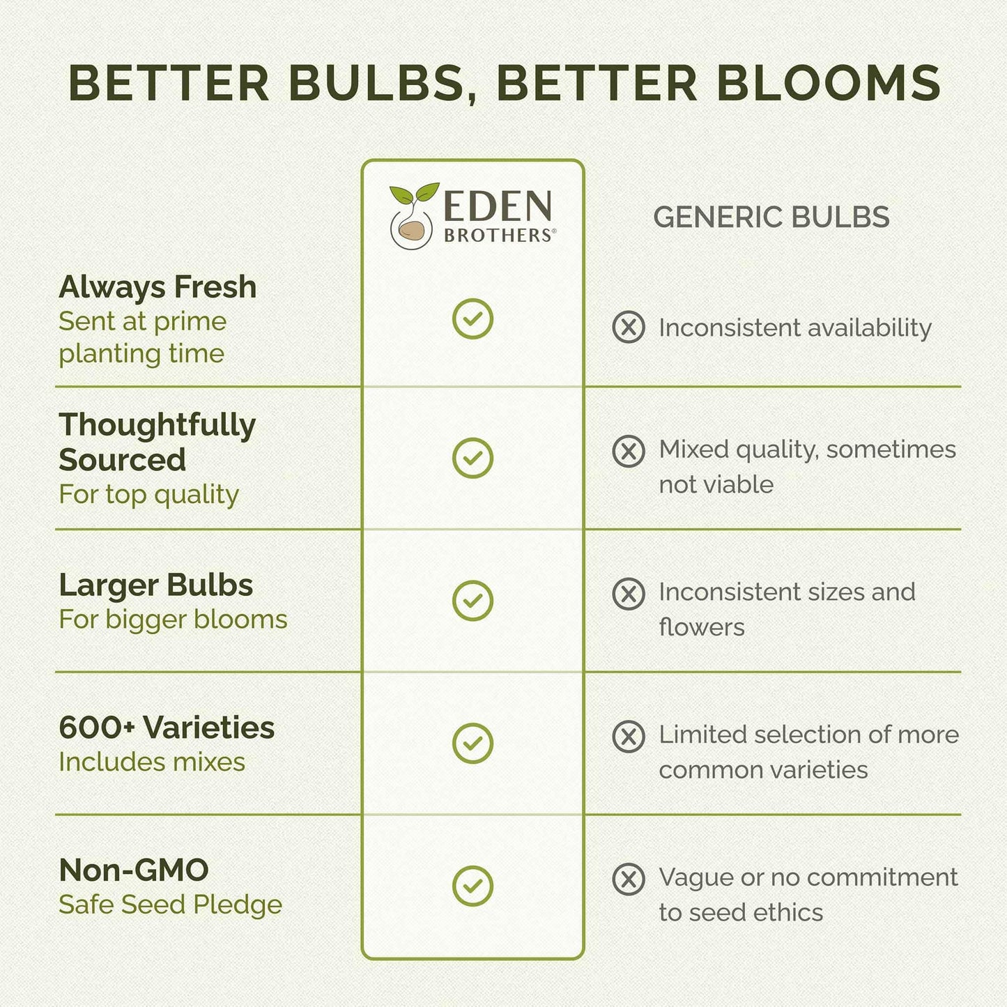 Eden Brothers Ranunculus Bulbs - Lipstick Mix