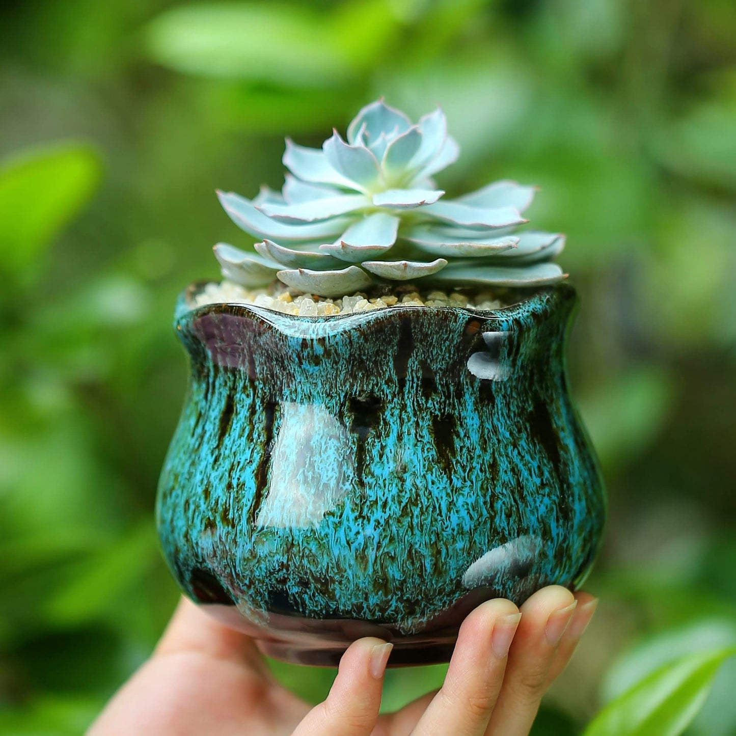Fulloog Cute Ceramic Succulent Planters, Garden Pots with Drainage and Attached Saucer, Set of 6 - Plants Not Included
