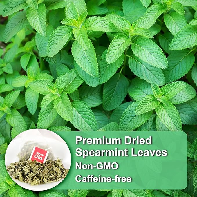 FullChea - Spearmint Tea Bags, 40 Teabags, 1.5g/bag - Premium Spearmint Leaves - Non-GMO - Caffeine-free - High in Antioxidant & Support Digestion