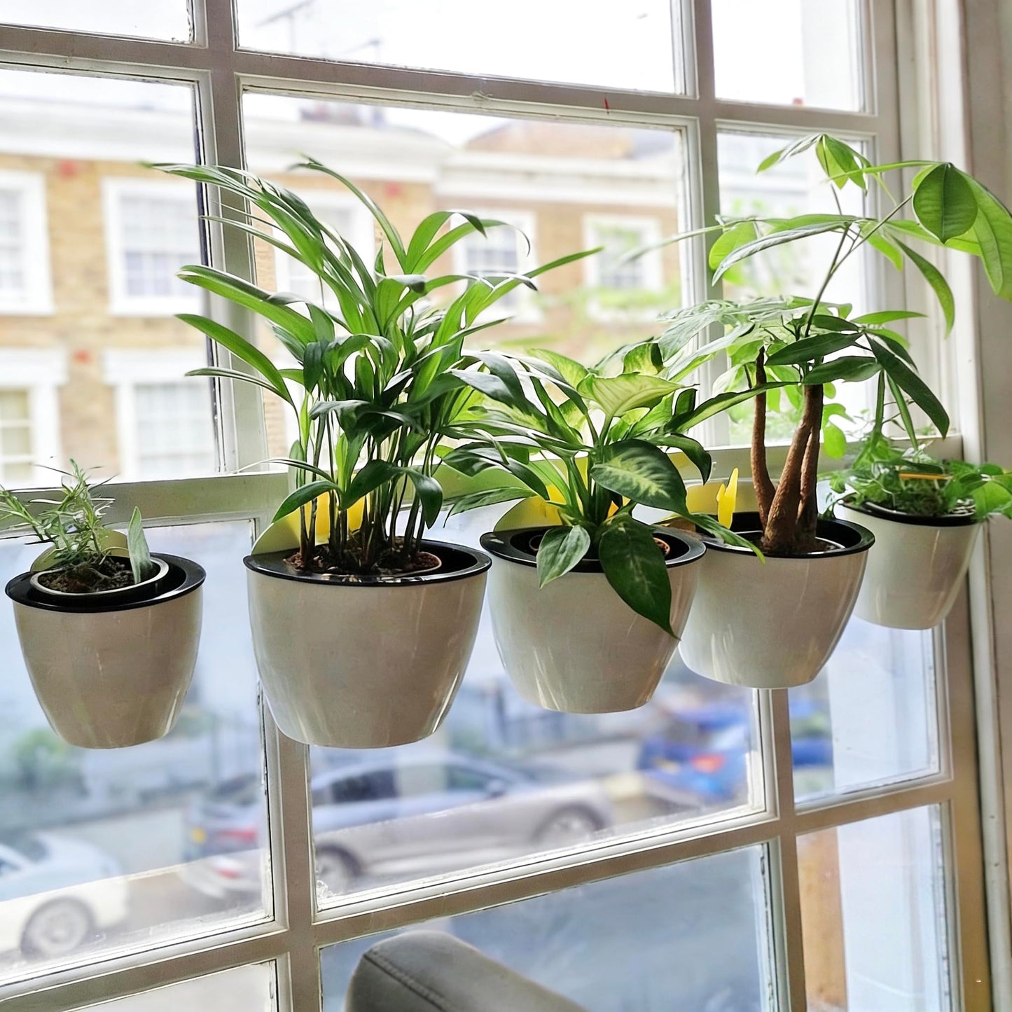 6 Pack White Hanging Planter Pots Self Watering Vertical Garden Wall Mount Window Hang Round Plastic Container Indoor Outdoor for Plants Flowers Succulent Kitchen Living Herbs Holder Decor(Large)