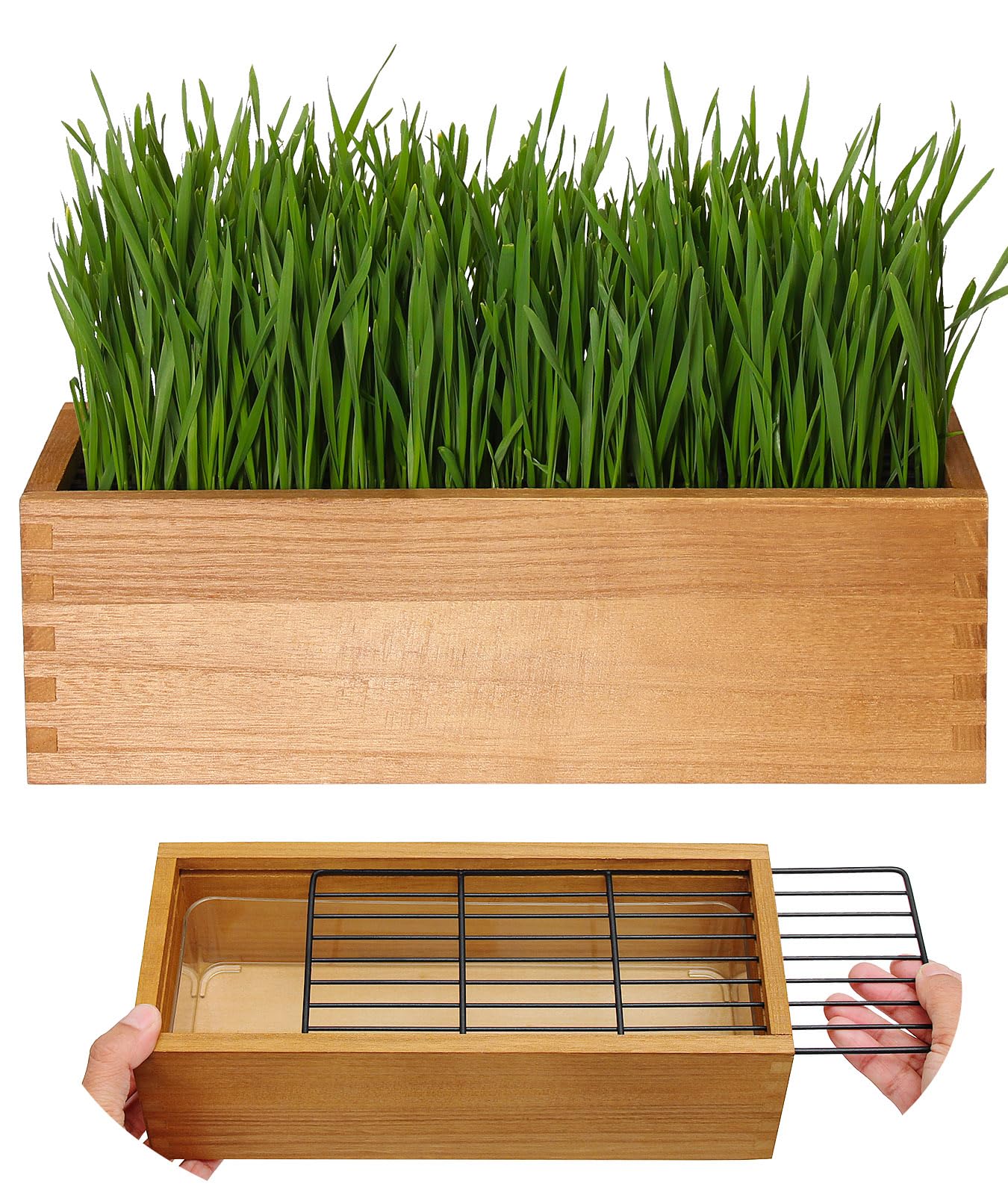 BENPIN Wooden Cat Grass Planter (no Seeds Included) with Potting Soil Disks, Anti-Digging Grid and Removable Plastic Liner, Wheat Grass Growing Pot, Cat Grass Kit for Indoor Cats Pets (Aged Yellow)