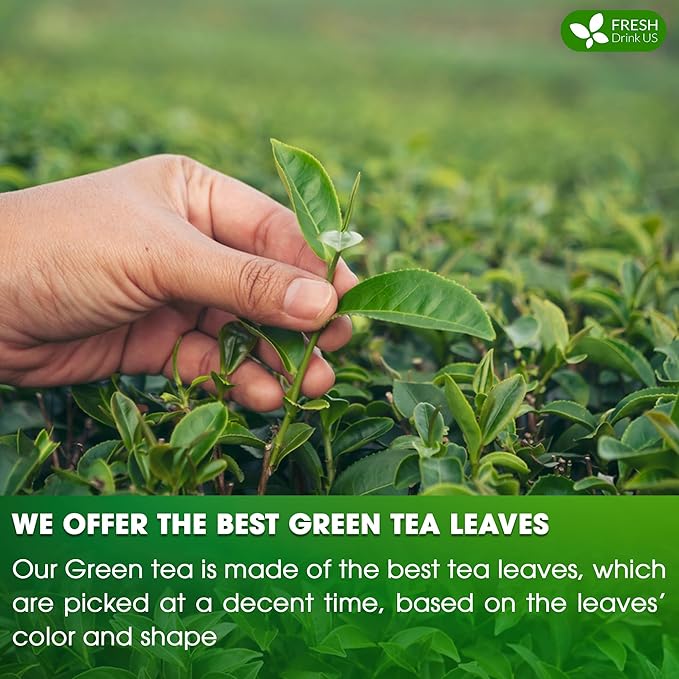 FreshDrinkUS, Premium 175 Green Tea Bags, 100% Natural & Pure from Green Tea. Green Herbal Tea. Made with Natural Material Tea Bags. No Sugar, No Gluten, Vegan