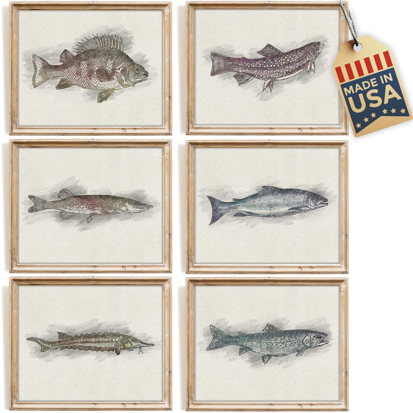 DREAM BIG PRINTABLES Fish Sketches Art Prints (Set of 6) - Unframed - 8x10 | Fishing Wall Decor for Fisherman