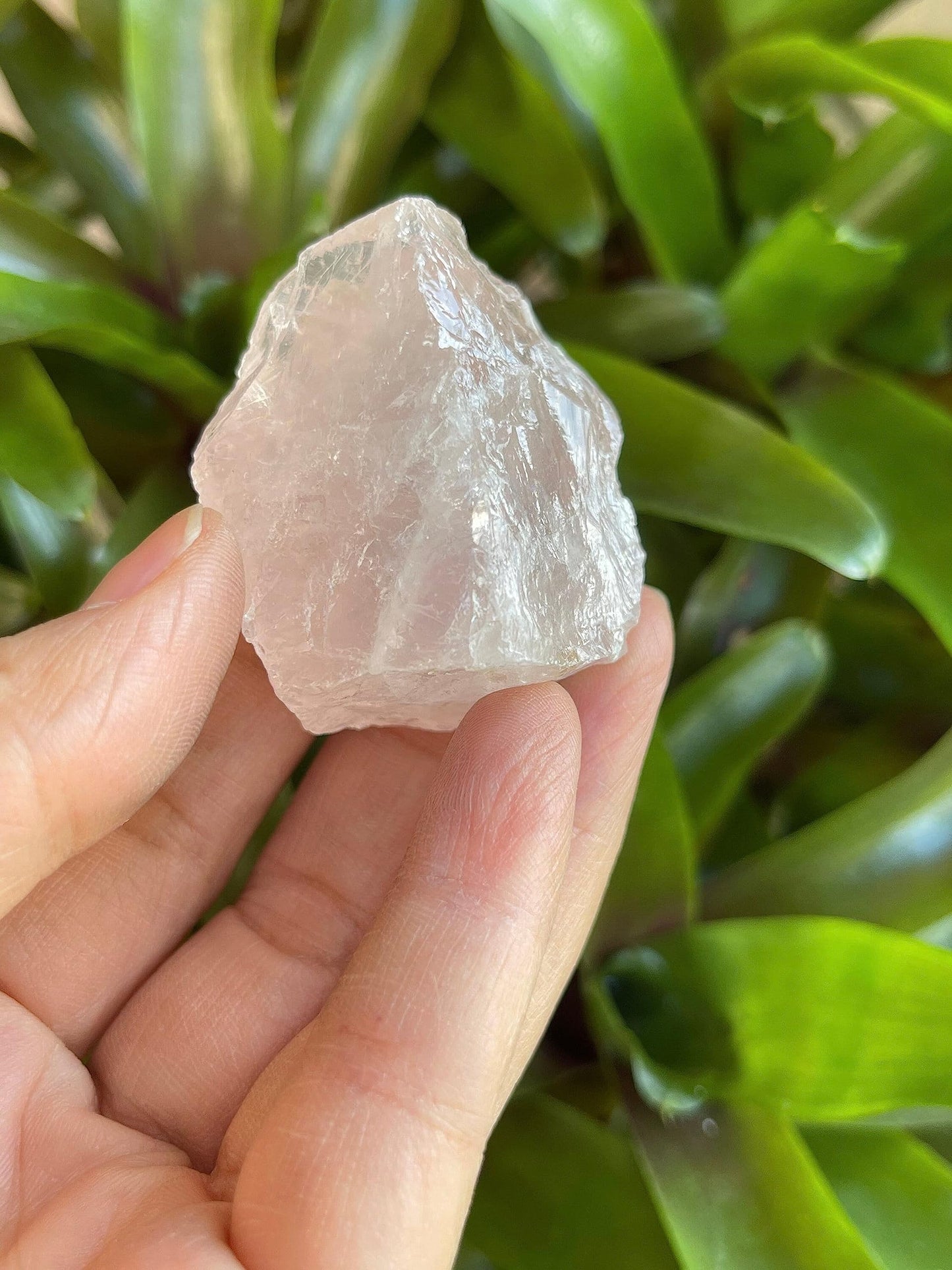 GAF TREASURES Wholesale Raw Rose Quartz Crystals, Natural Rose Quartz Stone, Natural Rough Rose Quartz Crystals, Rose Quartz Rough, Rose Quartz Healing Crystals (Rose Quartz, 0.5 Pound)