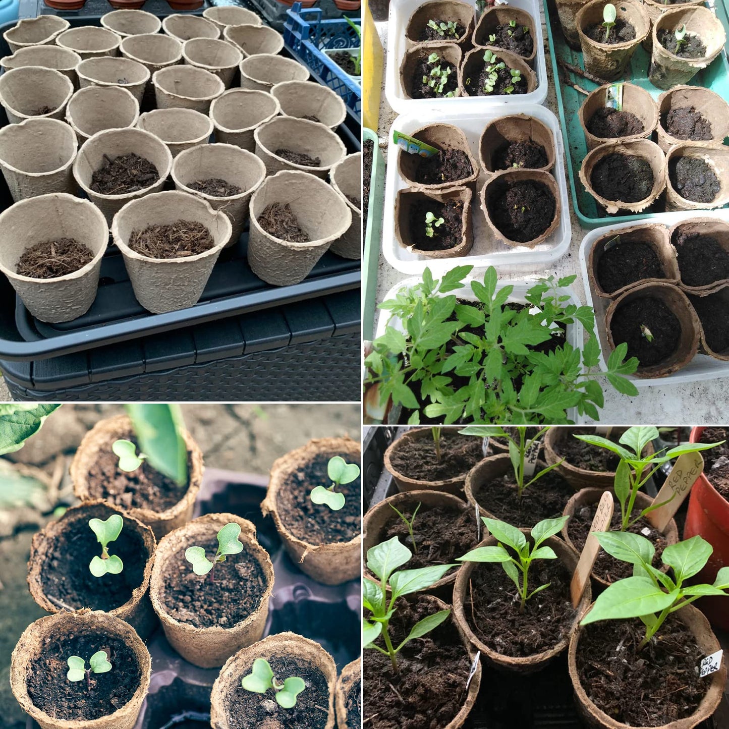KINGLAKE 100 Pcs 3 Inch Peat Pots, Seeds Starter, Transplant Seedlings With 100 Pcs White Plastic Plant Labels