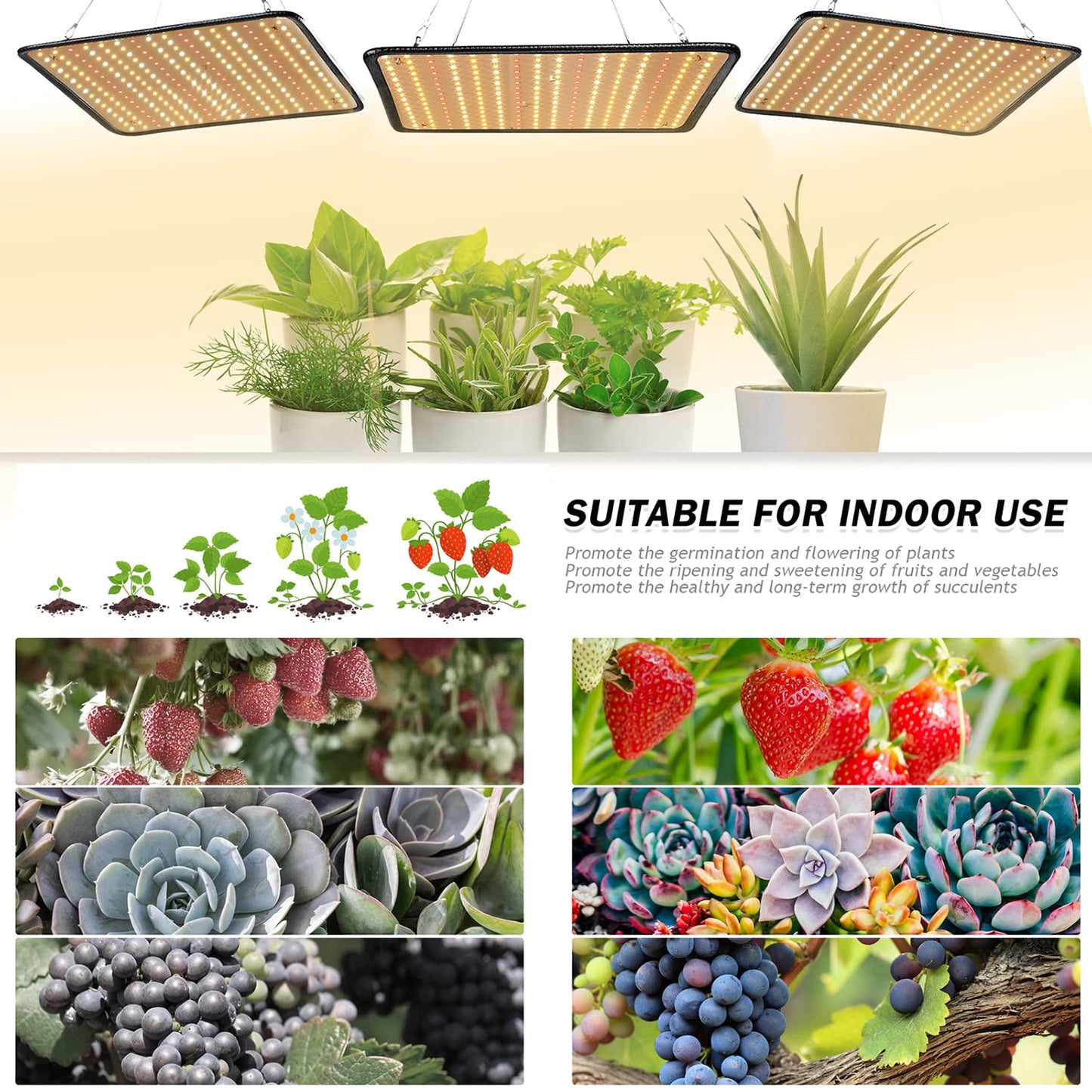 SERWING 200W LED Grow Light - Full Spectrum, Plant Growing Lamp for Indoor Plants, Greenhouse, Grow Tent, Hydroponics