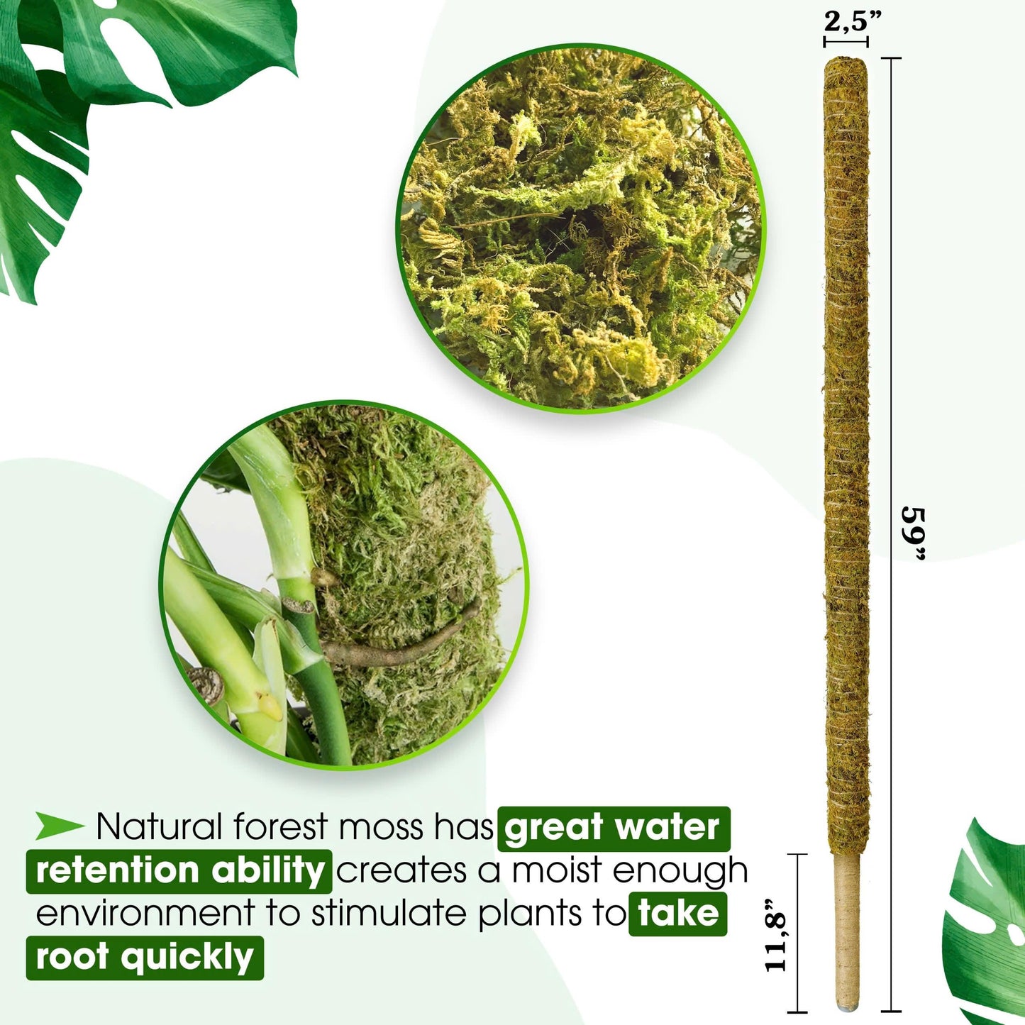 DUSPRO 59 Inches Non-Bendable Pole for Big Climbing Plants, Large Moss Pole for Monstera, Indoor Plant Stakes, Support (1pc., 59'')