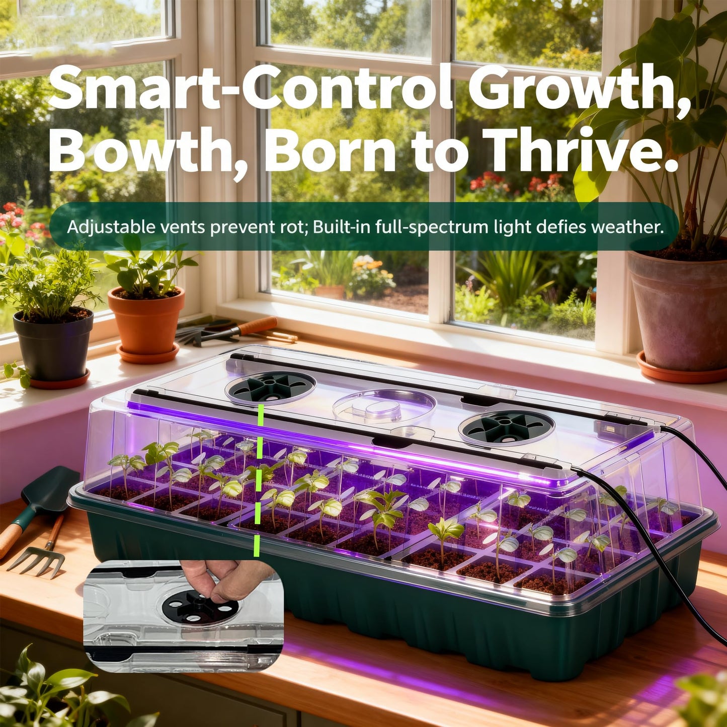 Beginner-Friendly Seed Starter Kit with Grow Light, Indoor Germination System for Faster Sprouting & Healthy Seedlings, Adjustable Humidity Dome for Herbs, Vegetables & Flowers, 72 Cells