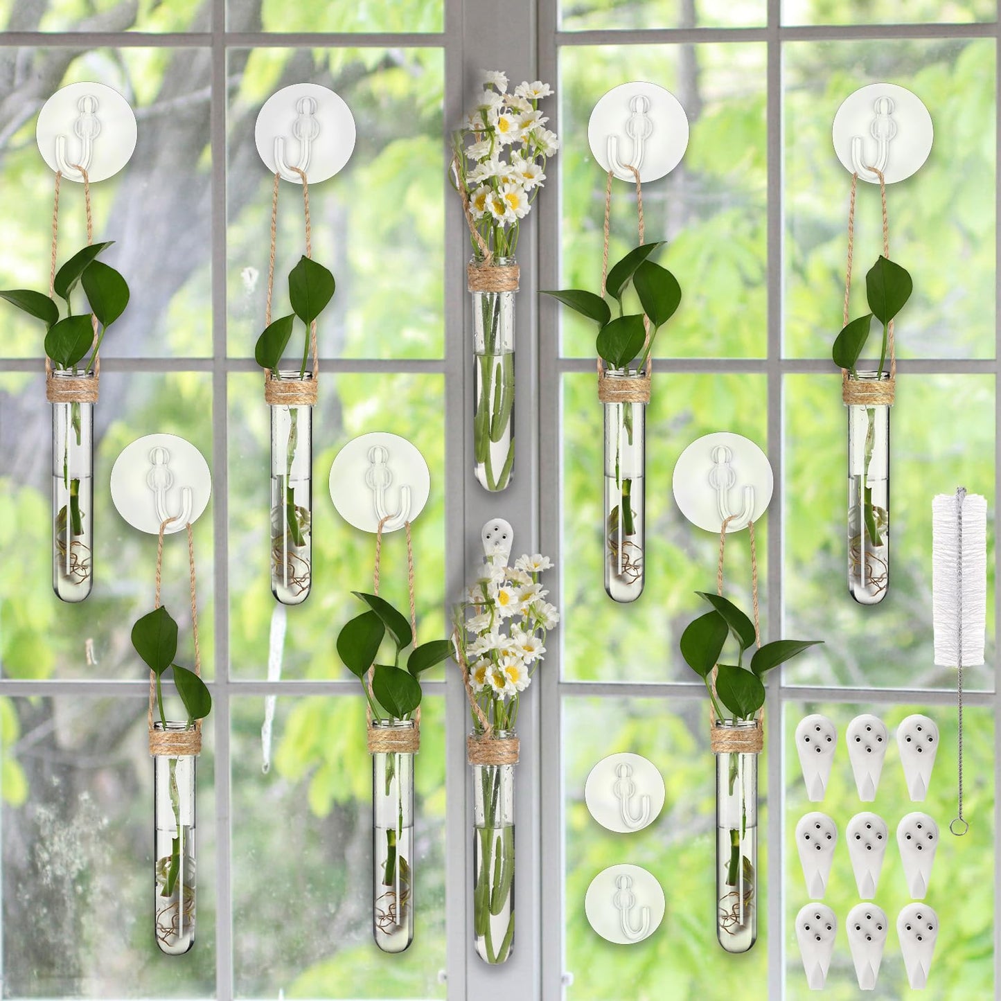 Baderke 9 Pack Clear Window Propagation Stations Plastic Window Planter with Suction Cups & Traceless Nails, Propagated Plant Holders with Bottle Brush, Hanging Vases Terrarium Gift(5")