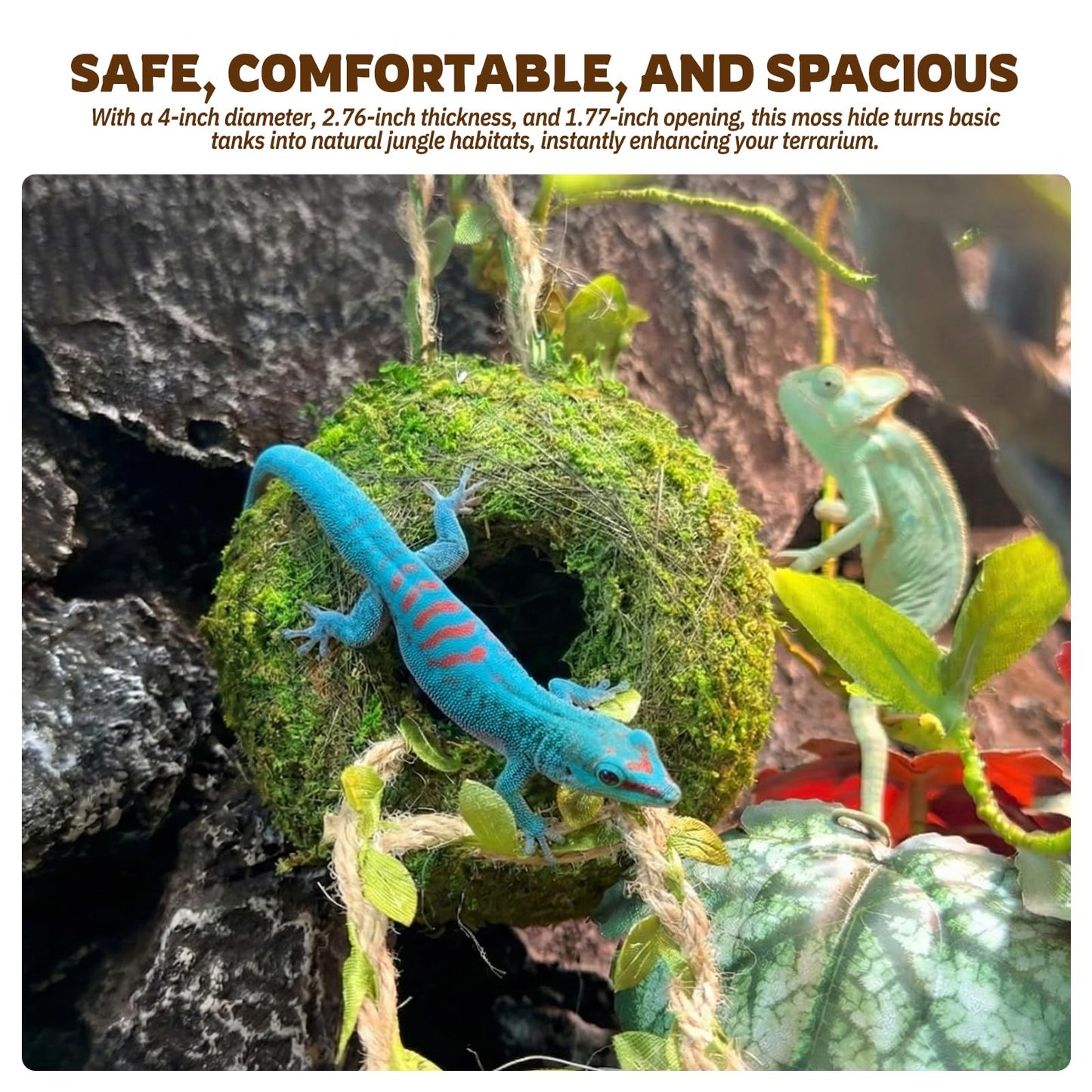 Moss Cave Hideout with Hanging Rope & Hemp Climbing Ladder – Natural Reptile Tank Decor Accessories for Crested Geckos, Chameleons, Tree Frogs, Leopard Geckos & Snakes. Terrarium & Vivarium Decor (4")