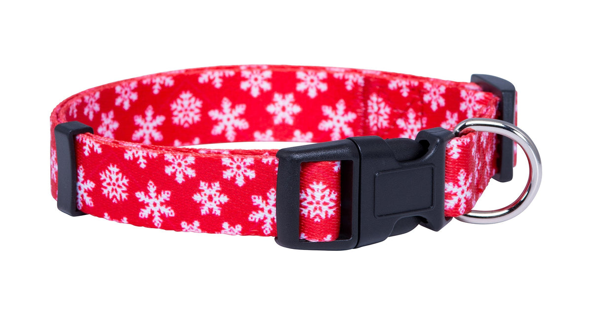 Native Pup Halloween Dog Collar (Large, Bats)