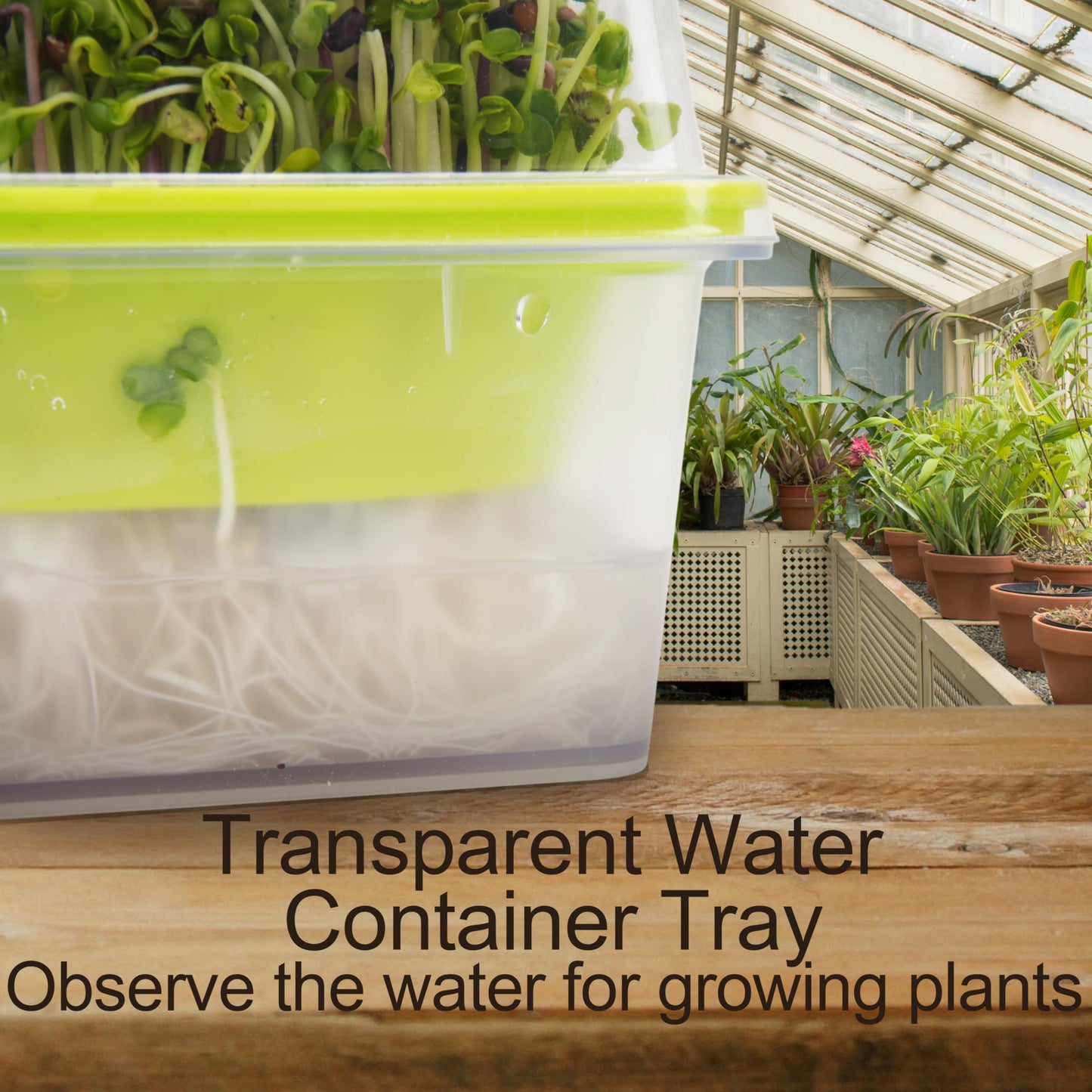 Microgreen Growing Trays, 5" x 5" Sprouting Tray with Humidity Dome, 1.2 mm Small Mesh Holes, BPA Free, Sprouter Kit for Growing Mirco Seeds, Like Broccoli, Alfalfa, Radish, Clover - 6 Pack | Clear