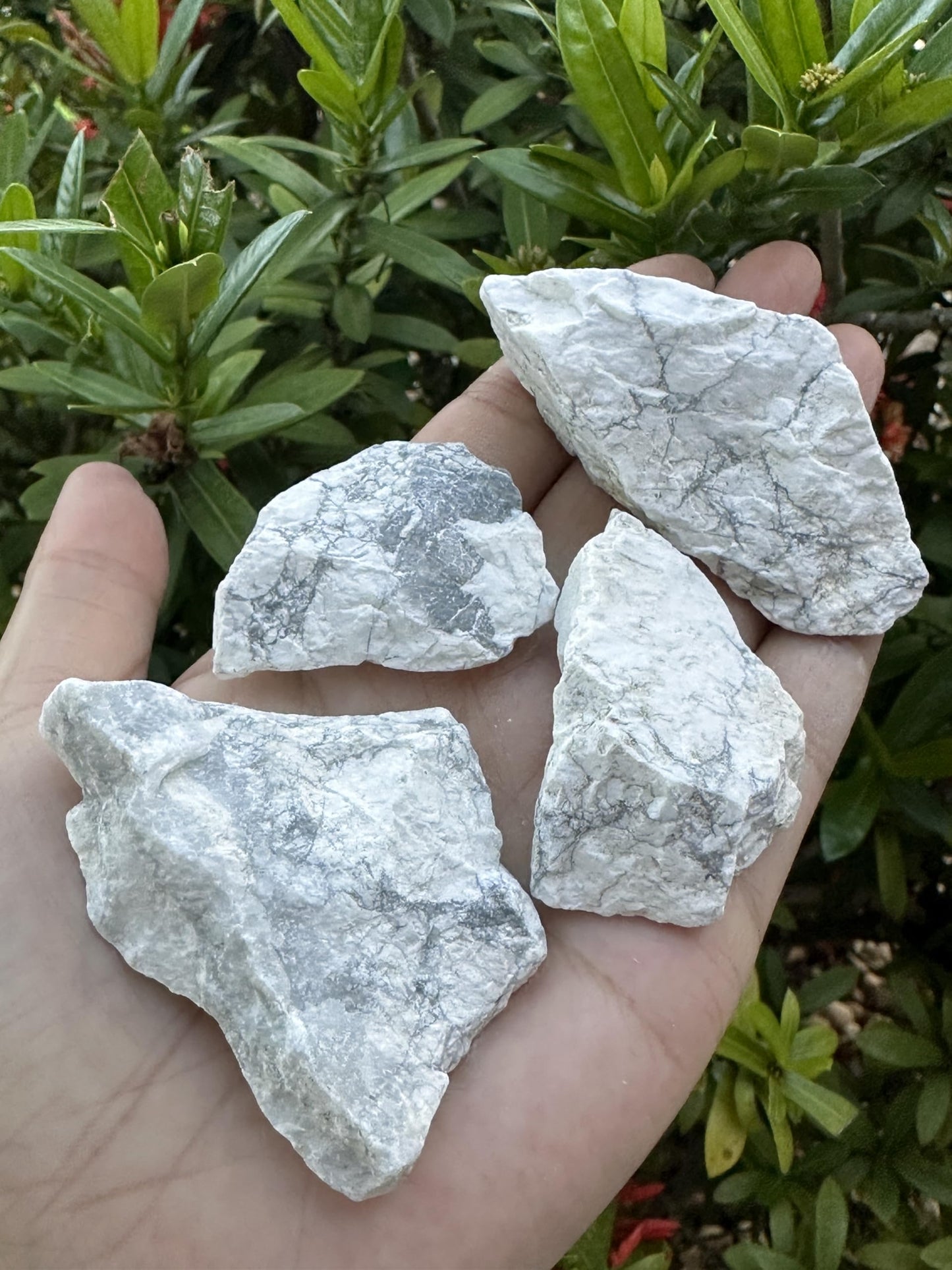 GAF TREASURES Wholesale Raw White Howlite Crystals, Natural White Howlite Stone, Natural Rough White Howlite Crystals, White Howlite Rough, White Howlite Healing Crystals (White Howlite, 0.5 Pound)