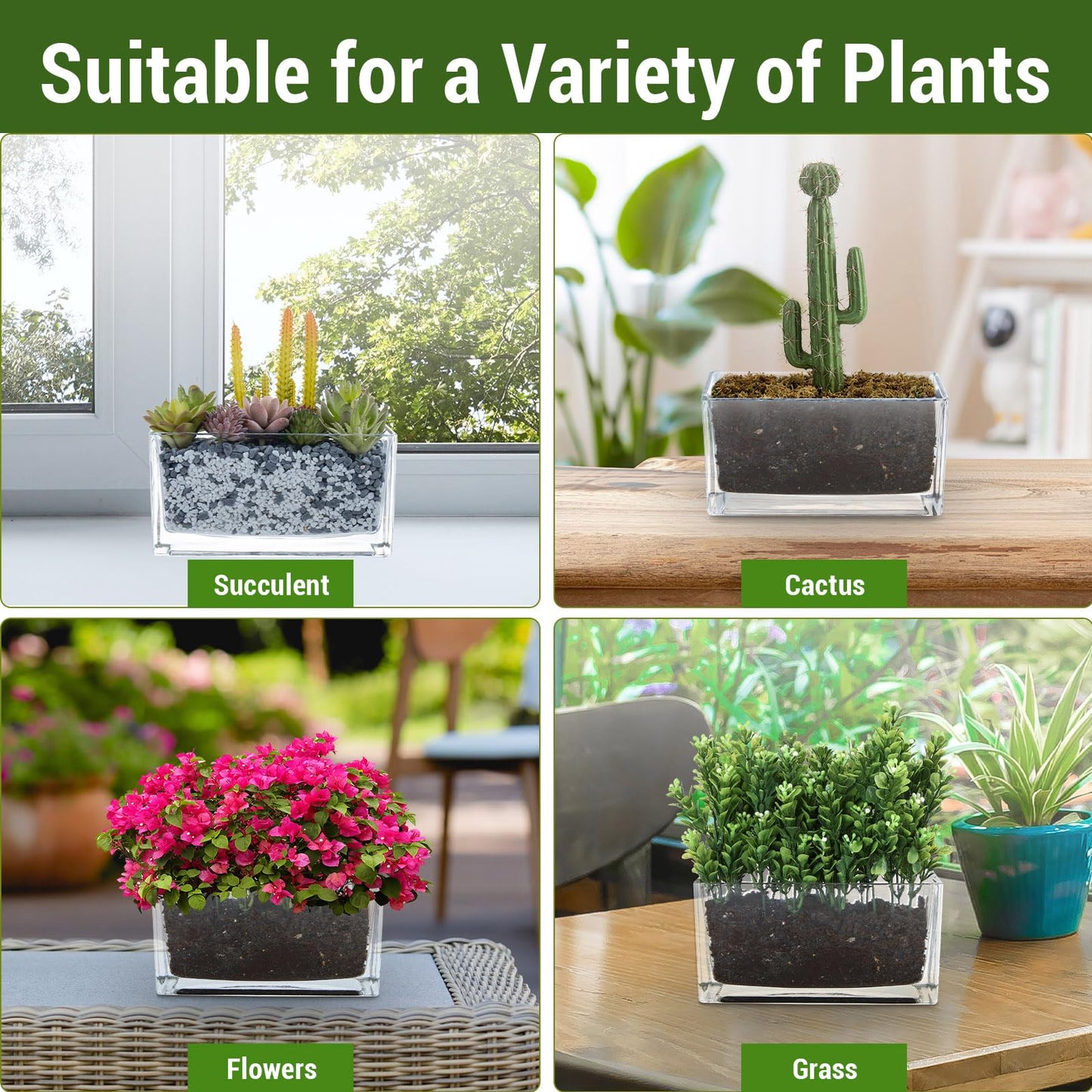 MyGift 7.8 inch Modern Rectangular Glass Vase, Trough Planter, Tabletop Glass Terrarium