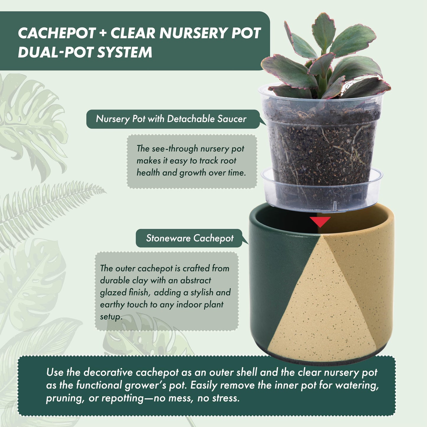 D'vine Dev 4.5" Stoneware Cachepot Planter with 4" Clear Nursery Pot & Detachable Saucer – Indoor Plant Pot with Drainage for Bottom Watering & Root Visibility, Desert Forest, Set of 2, 93-V-B-1