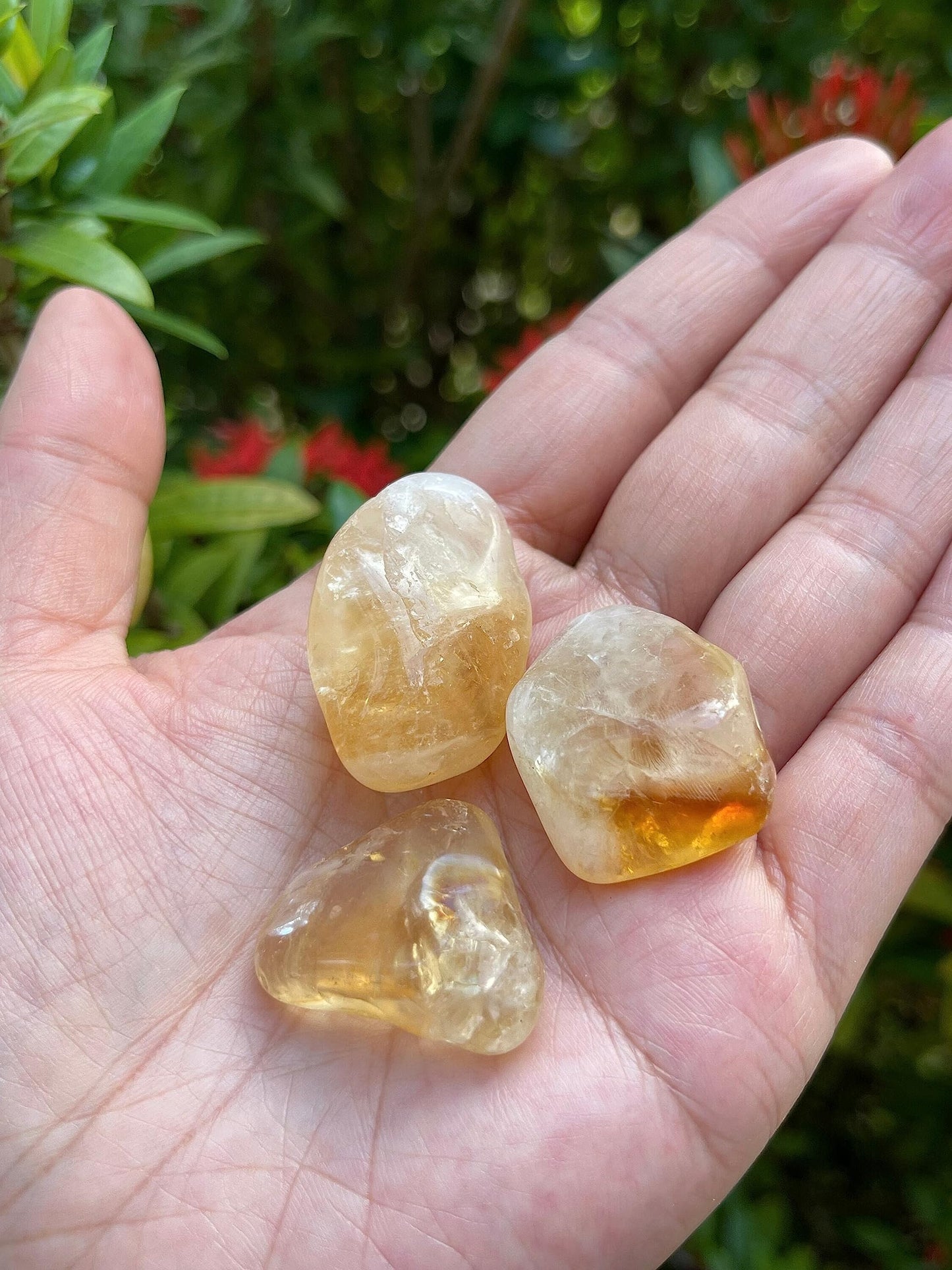 GAF TREASURES 5 Pcs Citrine Tumbled Stones, Polished Citrine Gemstone, Citrine Healing Crystals (Citrine)