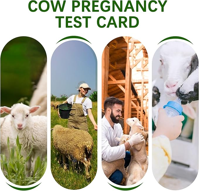 Sheep/Goat Pregnancy Rapid Detection Test （2pack）
