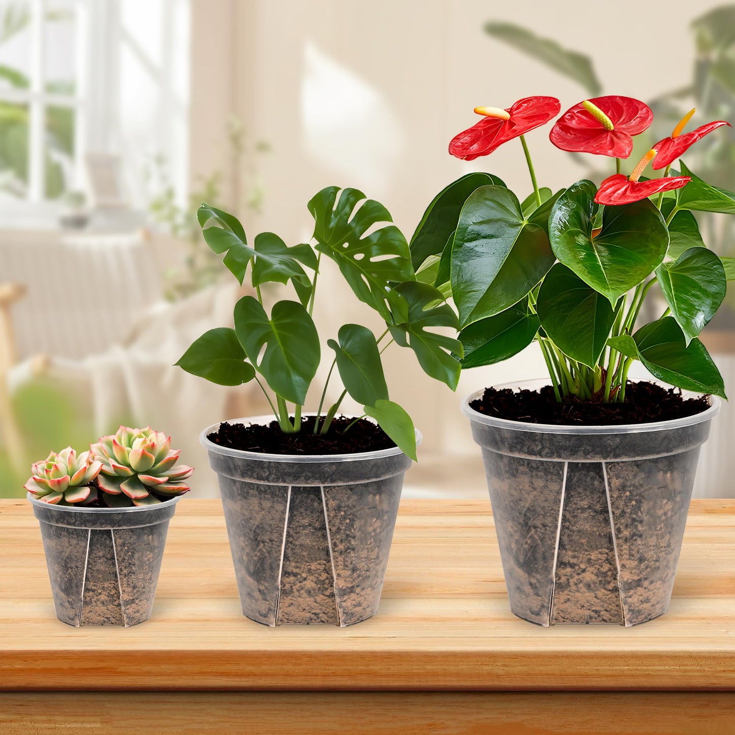 AUGXIXI 5 Set 7 Inch Transparent Plastic Garden Pots with Saucer - Planter with Drainage Hole for Indoor and Outdoor Plants - Includes 10 Plant Labels