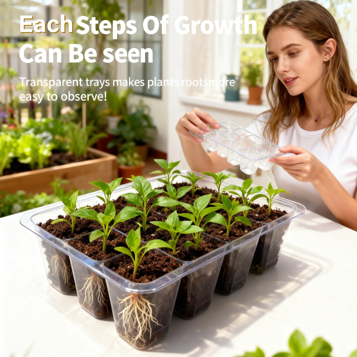 Beginner-Friendly Seed Starter Kit with Grow Light, Indoor Germination System for Faster Sprouting & Healthy Seedlings, Adjustable Humidity Dome for Herbs, Vegetables & Flowers, 72 Cells