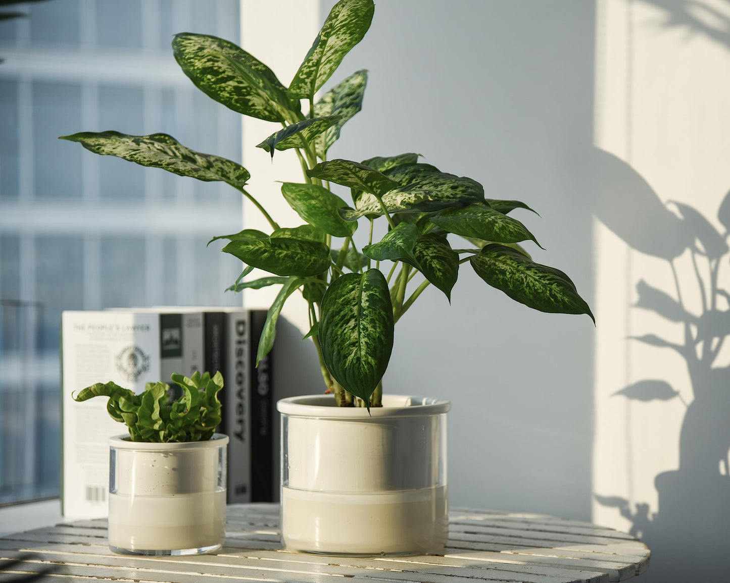 Phoenix Vine 6 Inch 4 Inch Self Watering Planter Pots, Design White Terracotta Pots for Plants, Indoor Cylinder Terra Cotta Pots with Glass Vase Set, 51-B-G-46