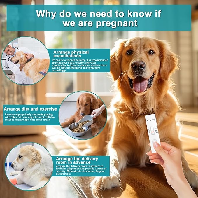Dog & Cat Pregnancy Test Kit at Home,Dog Urine Test - Urine-Based, 98.8% Accurate, 10-Minute Results, Painless(1 PCS)