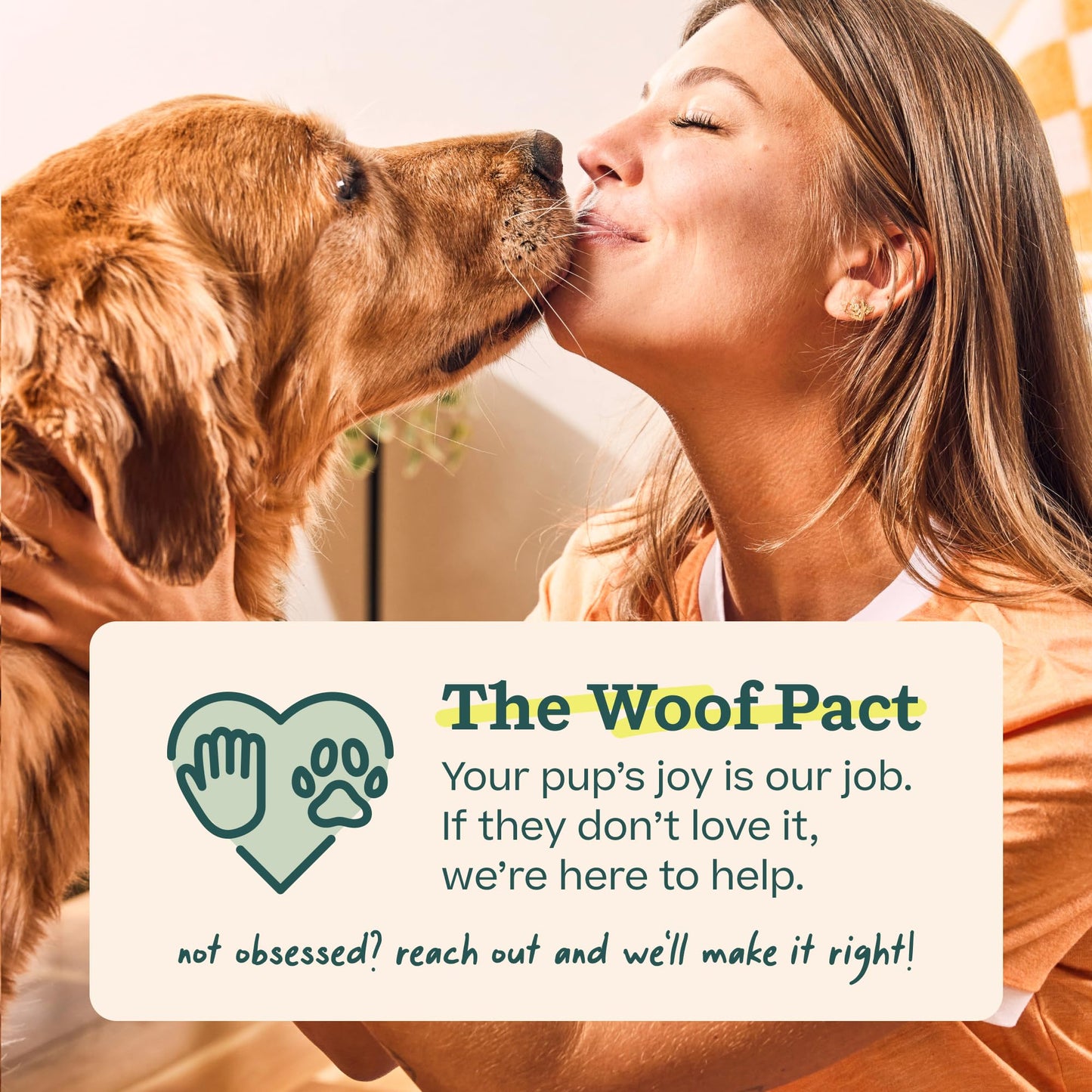 WOOF Pupsicle Chicken Refill Pops, Delicious Long Lasting Dog Treats, Wholesome Ingredients, Pre-Made Large Pupsicle Refills Pops- For Dogs 25 - 75 lbs - 7 count
