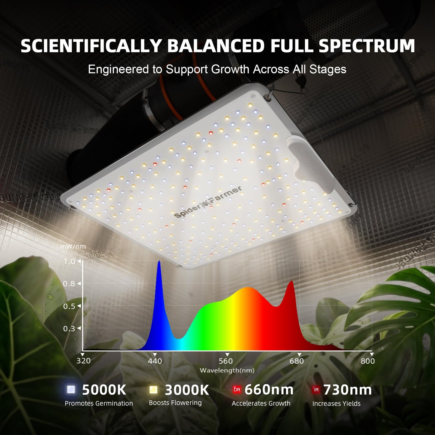 Spider Farmer SF1000 100W LED Grow Light for Indoor Plants, Upgraded High Efficiency LEDs, Dimmable Full Spectrum High PPFD, Deep Penetration for Seed Starting/Vegetables/Bloom in 2x2/3x3 Grow Tent