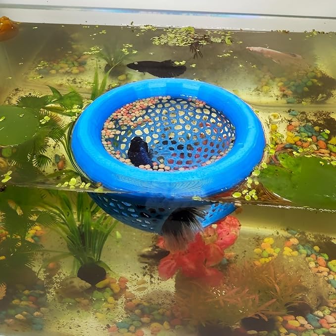 Aquarium Floating Betta Fish Skins, Betta or Shrimp Feeder, Cave and Hammock, Small Fish Feeding Rings, Aquarium Hiding Feeding Decorative Accessories (Cyan)