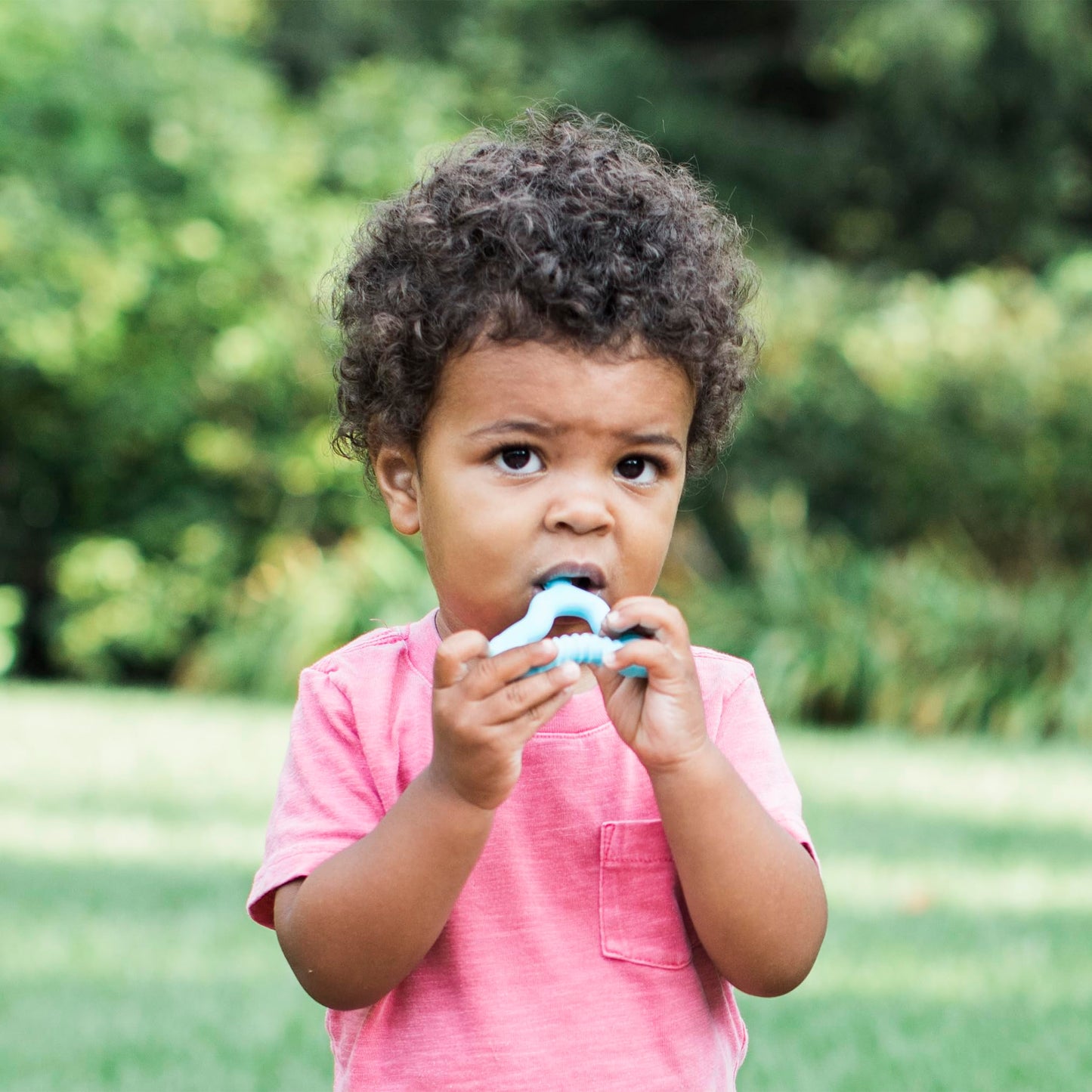 Green Sprouts Silicone Molar Teether, 12mo+, Platinum-Cured Silicone, Sterilizer Safe, Tested for Hormones - Light Blueberry