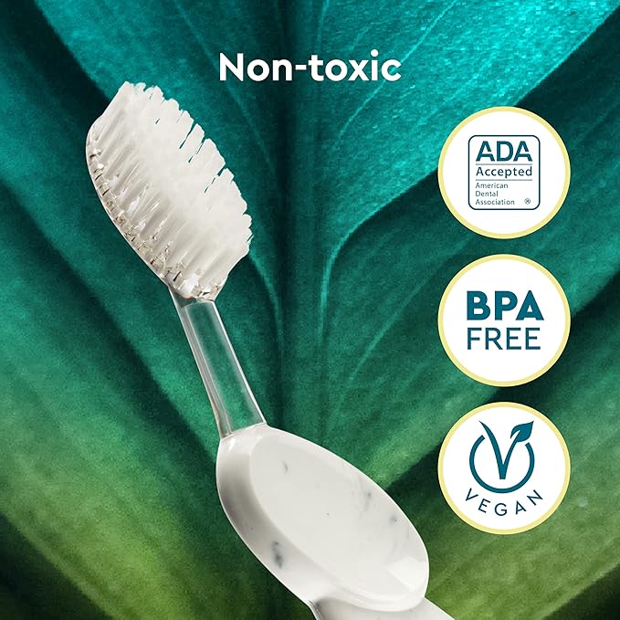 RADIUS Big Brush with Replaceable Head BPA Free & ADA Accepted Toothbrush Designed to Improve Gum Health & Reduce Gum Issues - Right Hand - Marble - Pack of 1