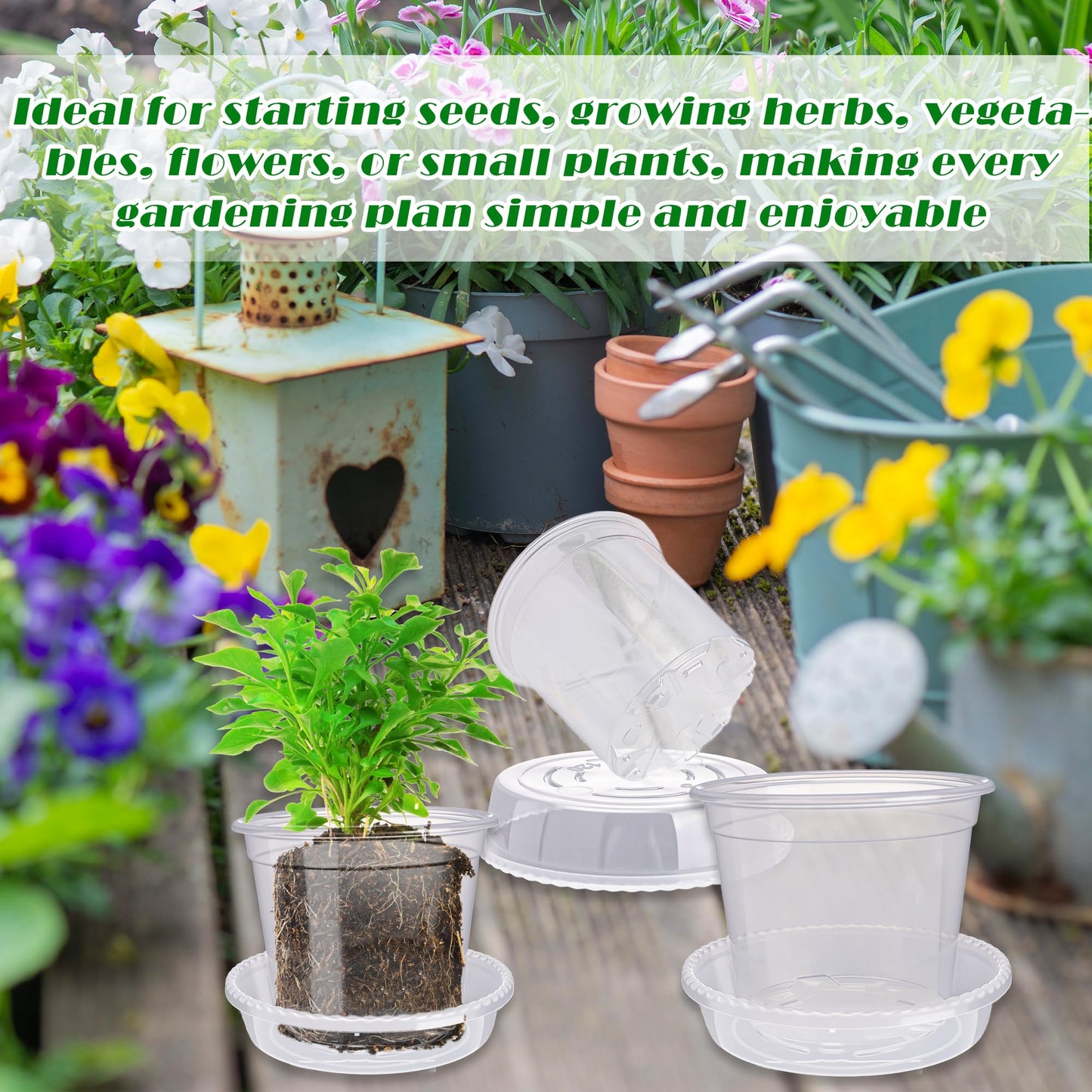 Plukeen 72 Pcs/36 Set 4 Inches Transparent Plastic Flower Pot with Trays Drainage Holes for Small Indoor Plants Seedling Starter Various Plants