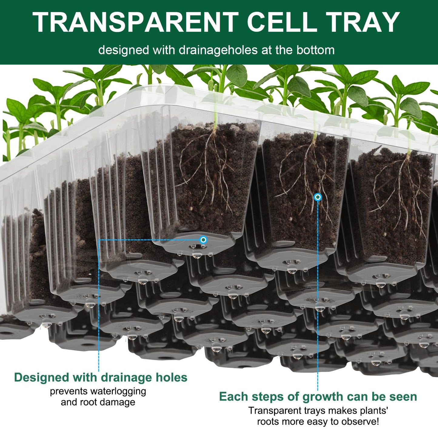 5 Pack Seed Starter Tray Seed Starter Kit (200 Cells Total Tray) with Adjustable Humidity Dome, Plant Germination Trays, Seed Starting Trays Mini Greenhouse Germination Kit for Seeds Growing Starting