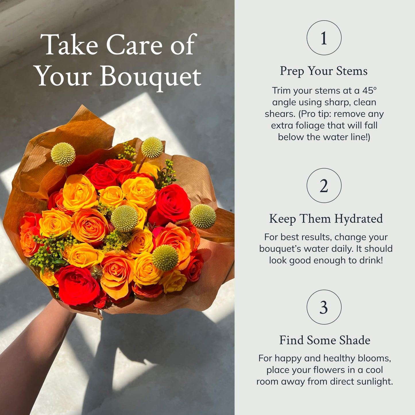 UrbanStems – Double The Firecracker Bouquet (No Vase) – Fresh Flowers for Delivery – Gift for Birthday, Thank You, Congratulations, Anniversary