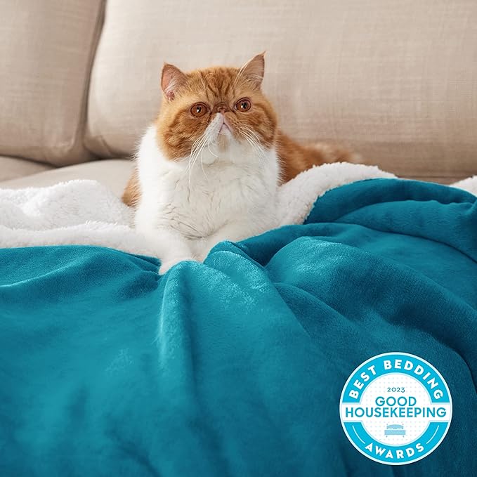 Bedsure Sherpa Fleece Throw Blanket for Couch - Thick and Warm, Soft Fuzzy Plush Throw Blanket for Winter, Teal, 50x60 Inches