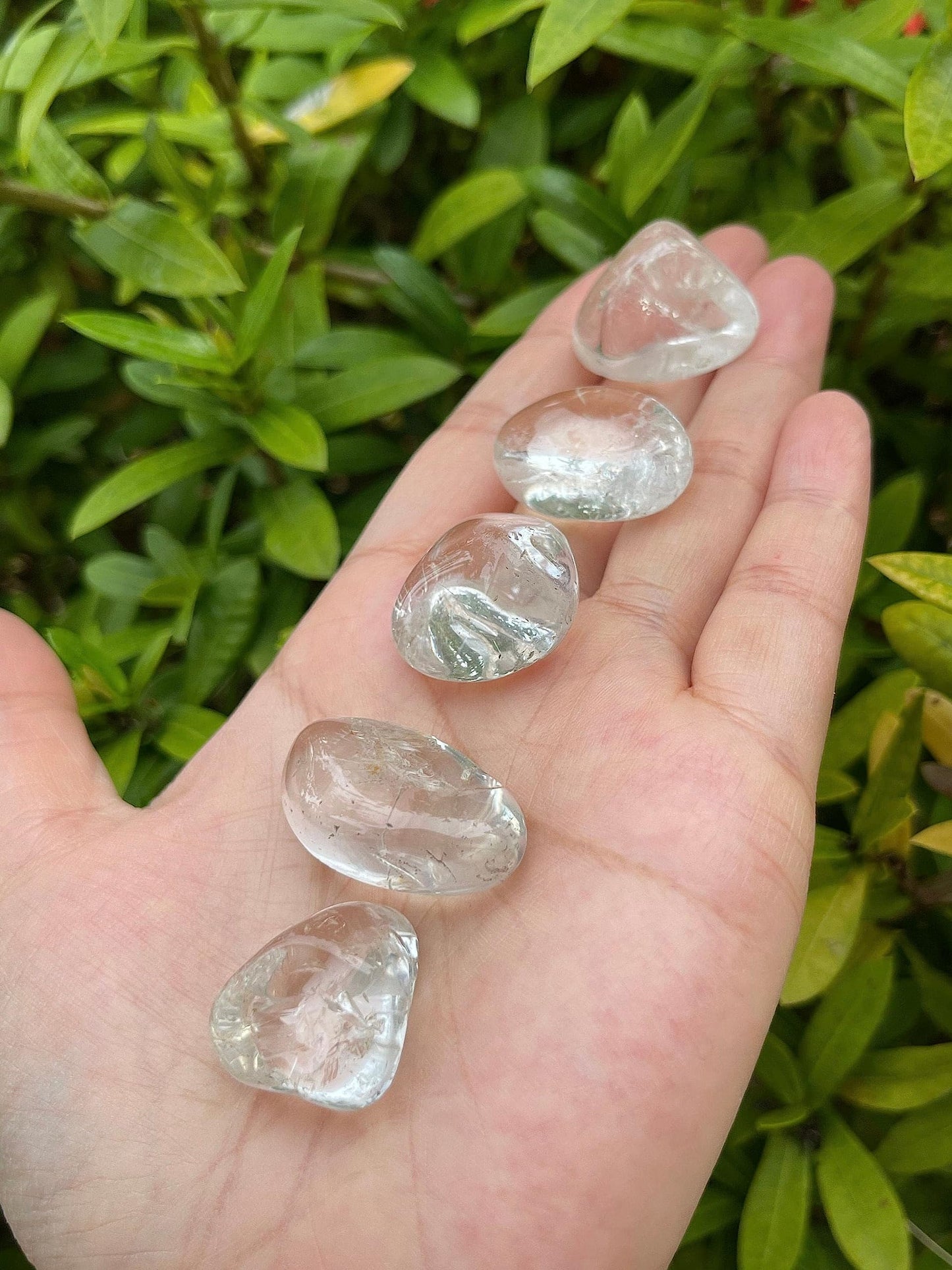 GAF TREASURES 5 Pcs Clear Quartz Tumbled Stones, Polished Natural Clear Quartz Gemstone, Clear Quartz Healing Crystals (Clear Quartz)