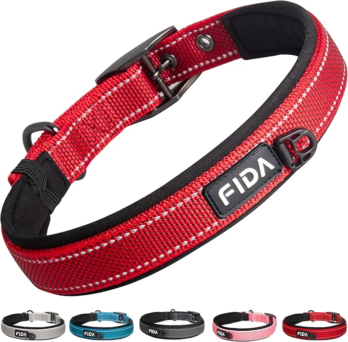 Fida Padded Dog Collar for Small Dogs with Metal Belt Buckle, Black