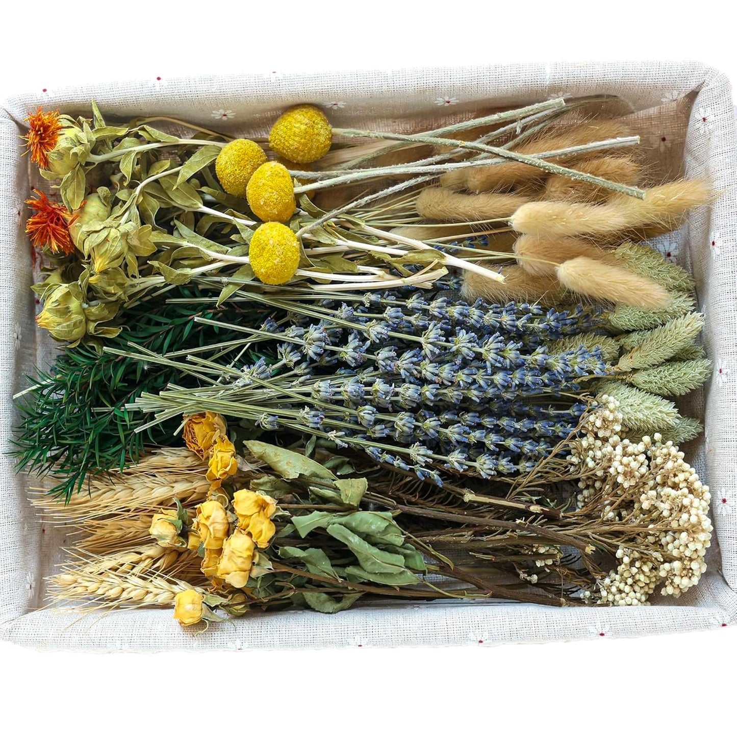 DIY Natural Dried Flower Set, Bulk Dried Flowers for Vase, Dried Flowers with Stems, Dried Roses, Mini Dried Flower Bouquets.(Brown)