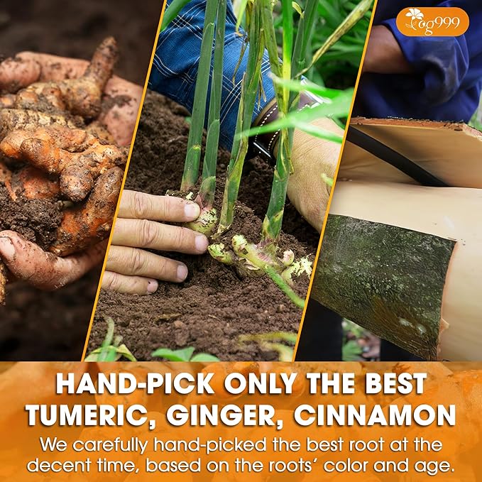 TOG999, Premium 20oz/330 cups Ginger Turmeric Cinnamon Loose Leaf Herbal Tea. Improve Digestion, Support Brain, Weight, Skin and Sleep. Premium Quality Spiced Blend. No Sugar, No Caffeine, No Gluten, Vegan.