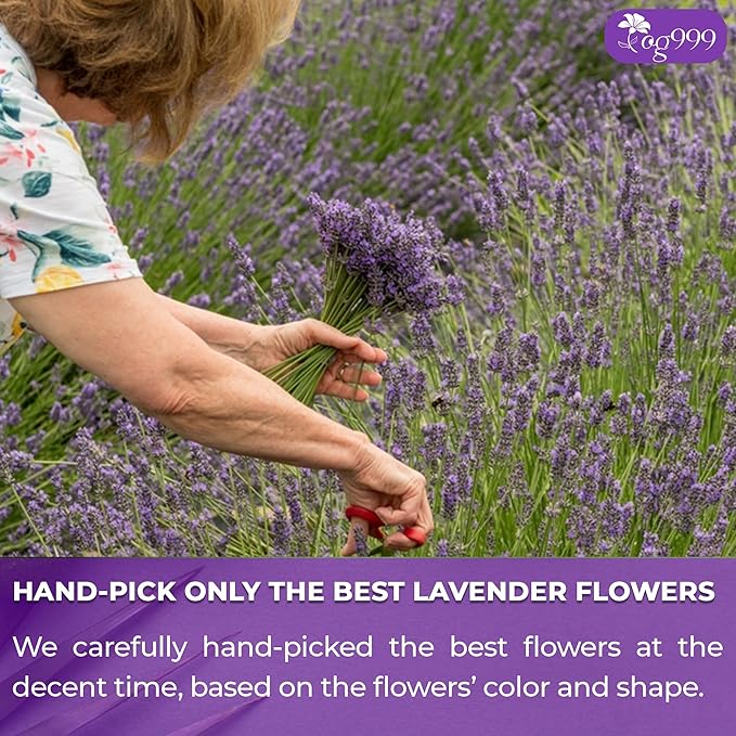 120 Lavender Flower Tea Bags, 100% Natural & Pure. Loose Flower Lavender Herbal Tea. No Sugar, No Caffeine, No Gluten, Vegan.