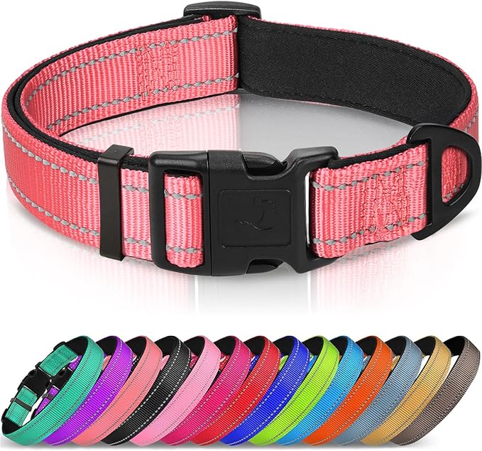Joytale Reflective Dog Collar, Adjustable Neoprene Padded, Gray XL
