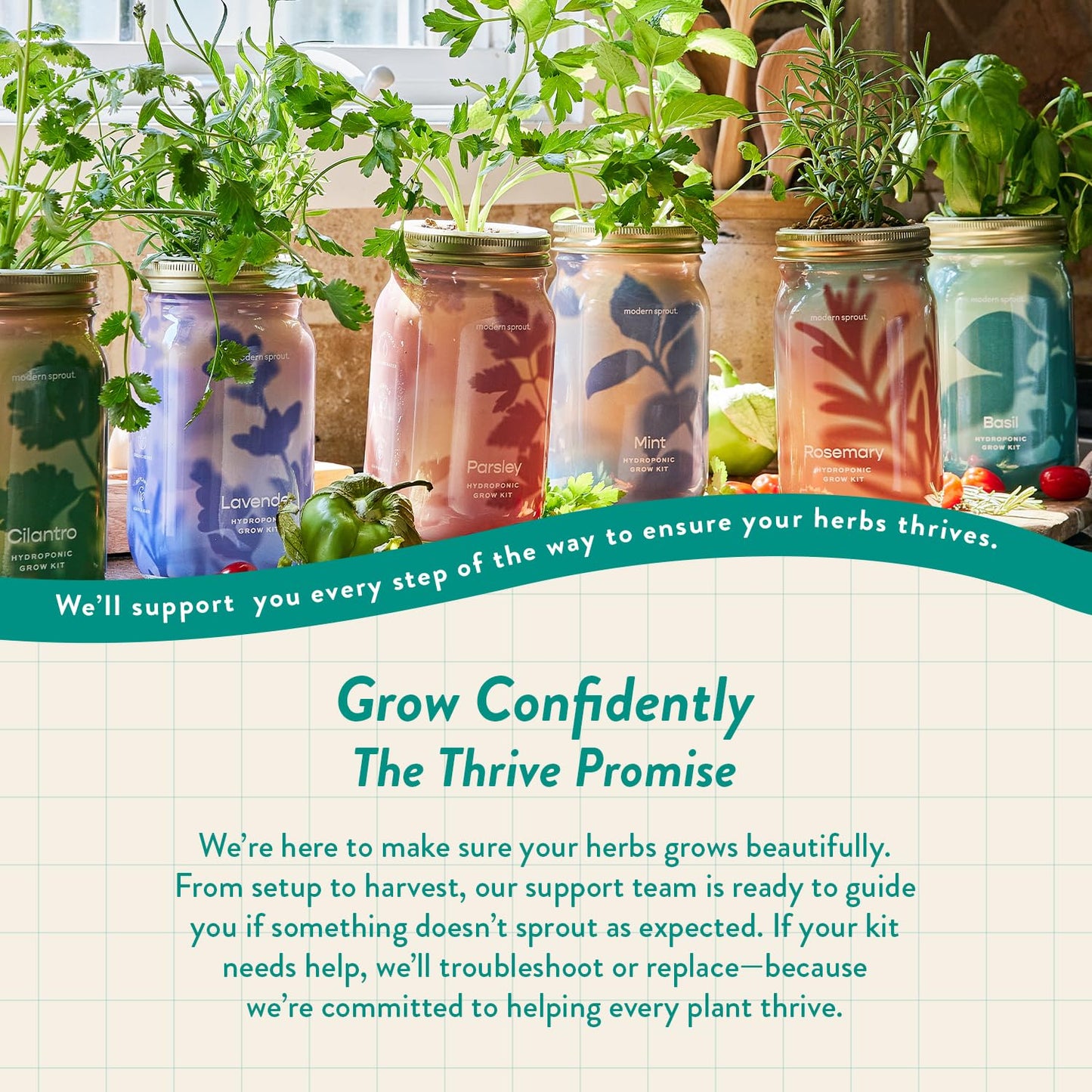 Modern Sprout Mason Garden Jar - Self-Watering Hydroponics Growing System Kit with Organic Herb Seeds - Jar Planter for Indoor Herb Garden - Seed Starter Kit - Home Decor & Gifting - Basil
