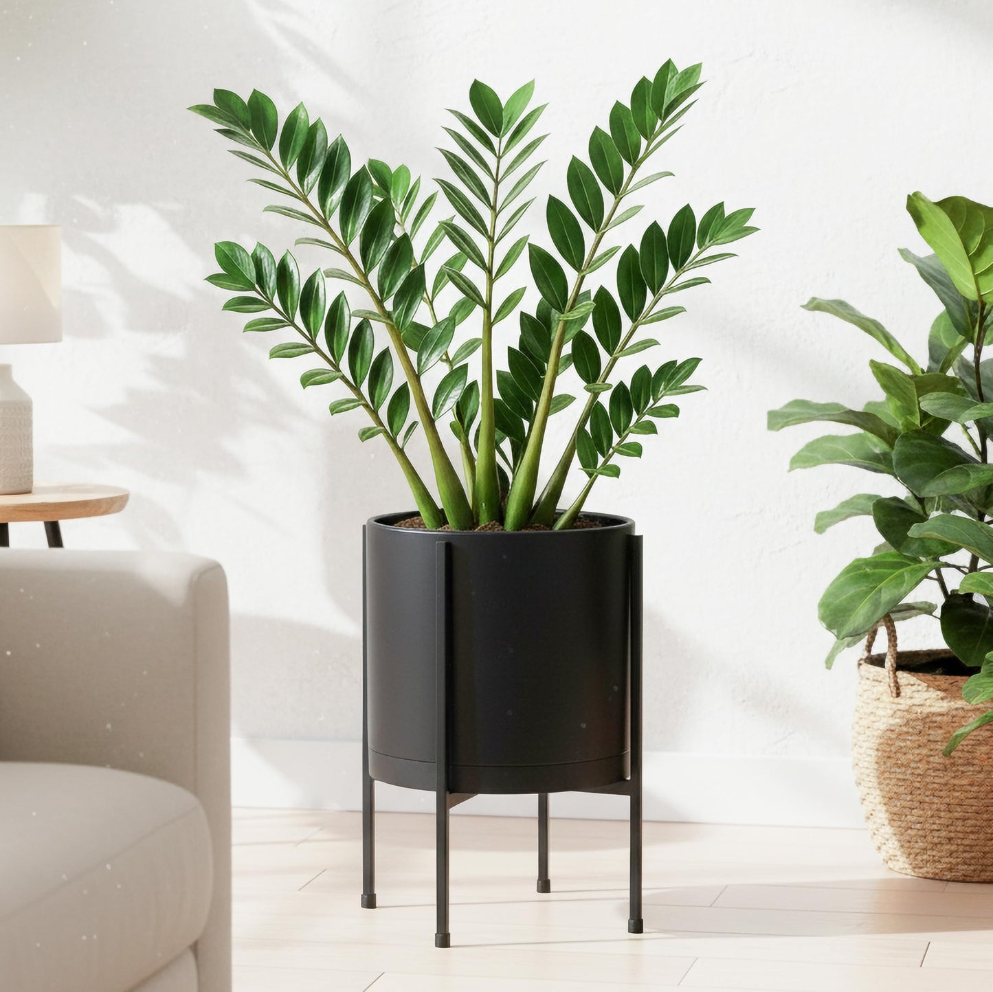 D'vine Dev 10 Inch Black Planter Pot with Stand – Modern Plastic Cylinder Flower Pot with Heavy-Duty Metal Stand for Indoor Plants, 55-D-B-2