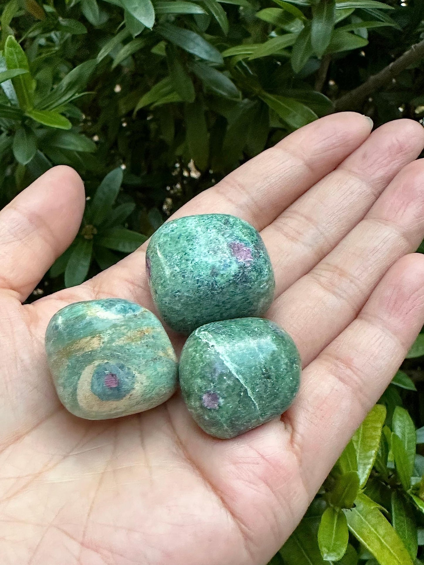 GAF TREASURES 5 Pcs Ruby Fuchsite Tumbled Stones, Polished Natural Gemstone, Healing Crystals