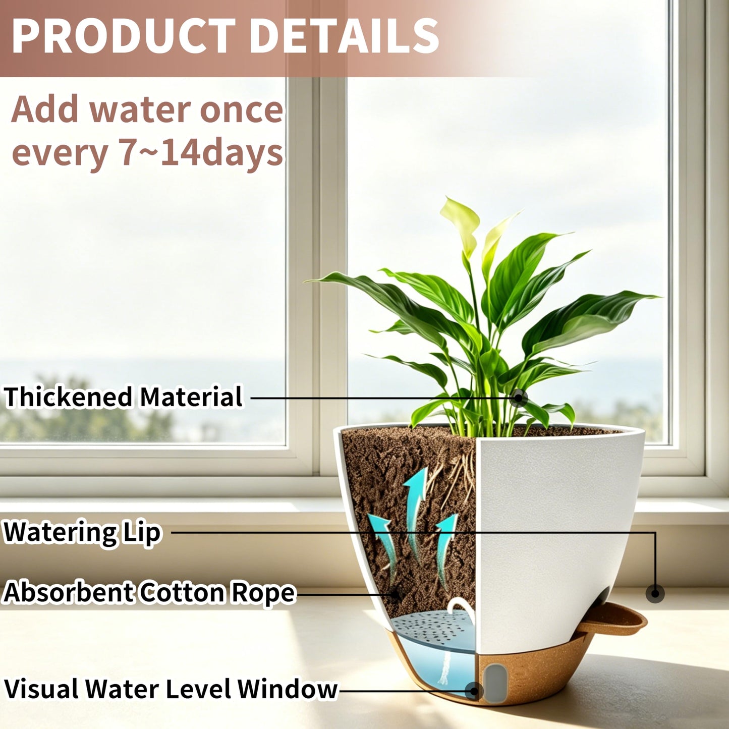 MNKXL 4-Pack Large Self Watering Pots for Indoor Plants, 12/10/9/8 Inch Planters with Visible Water Level Window, Automatic Watering System for Monstera, Fiddle Leaf, Herbs, Succulents, White