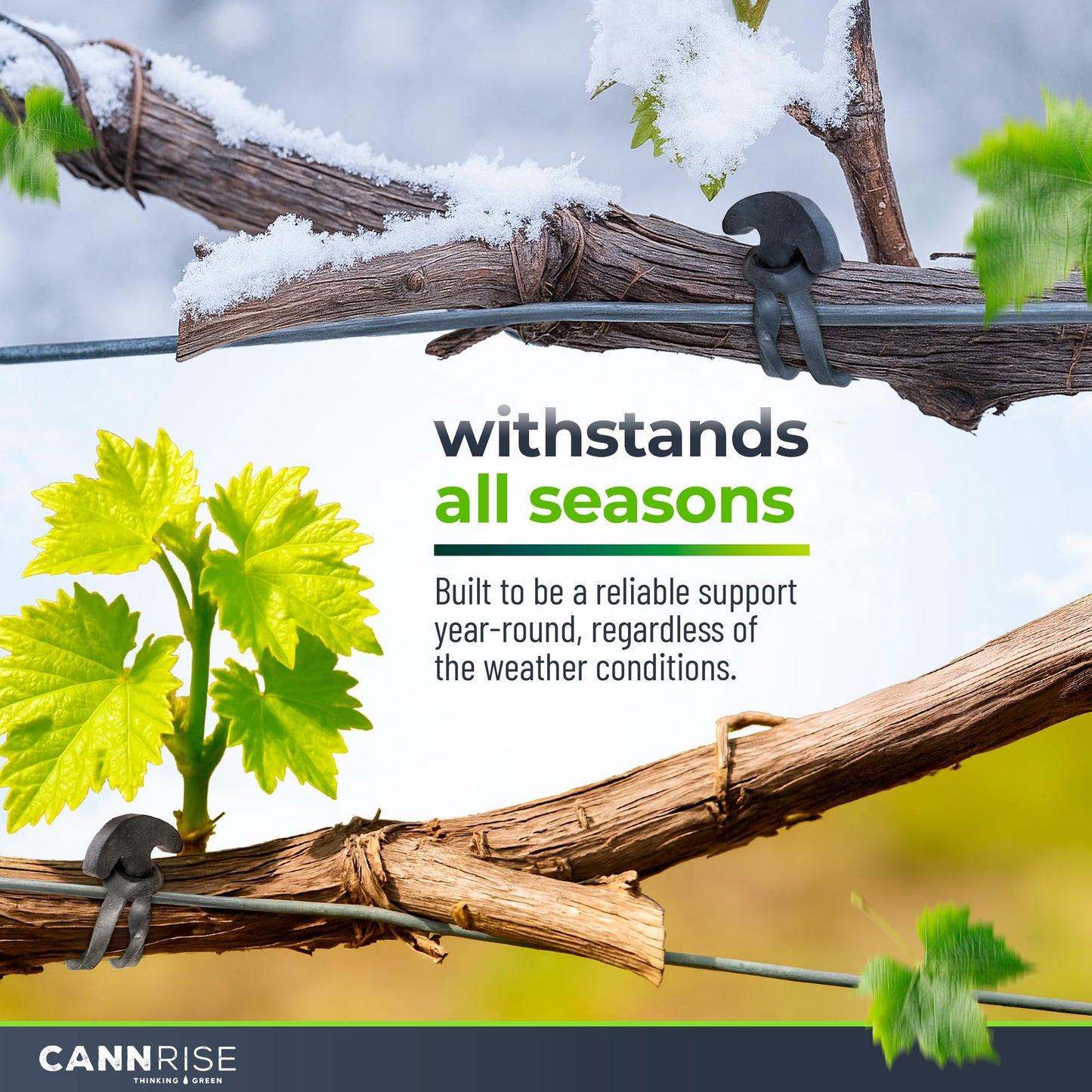 Anchor Bands for Trellising - 33-Pack 12 cm/4.72 in Rubber Vine Ties, UV-Protected Bands: Grapevines, Trees & Climbing Plants – Tool-Free Loop-and-Anchor Design for Install, Weatherproof