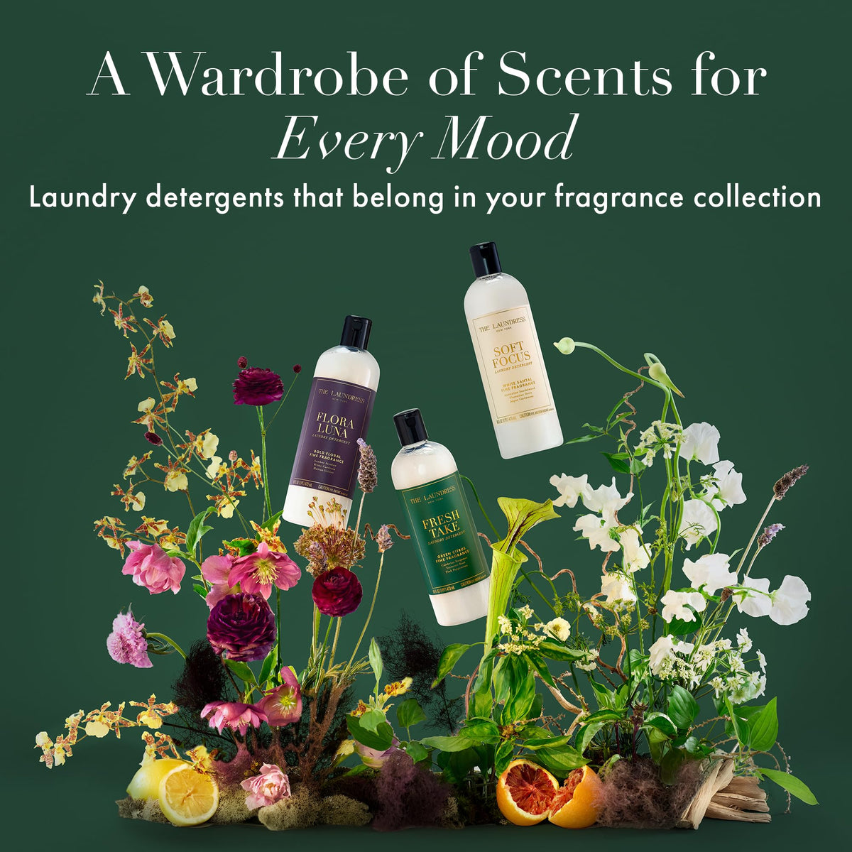 Luxury Laundry Detergent (16 Fl Oz)