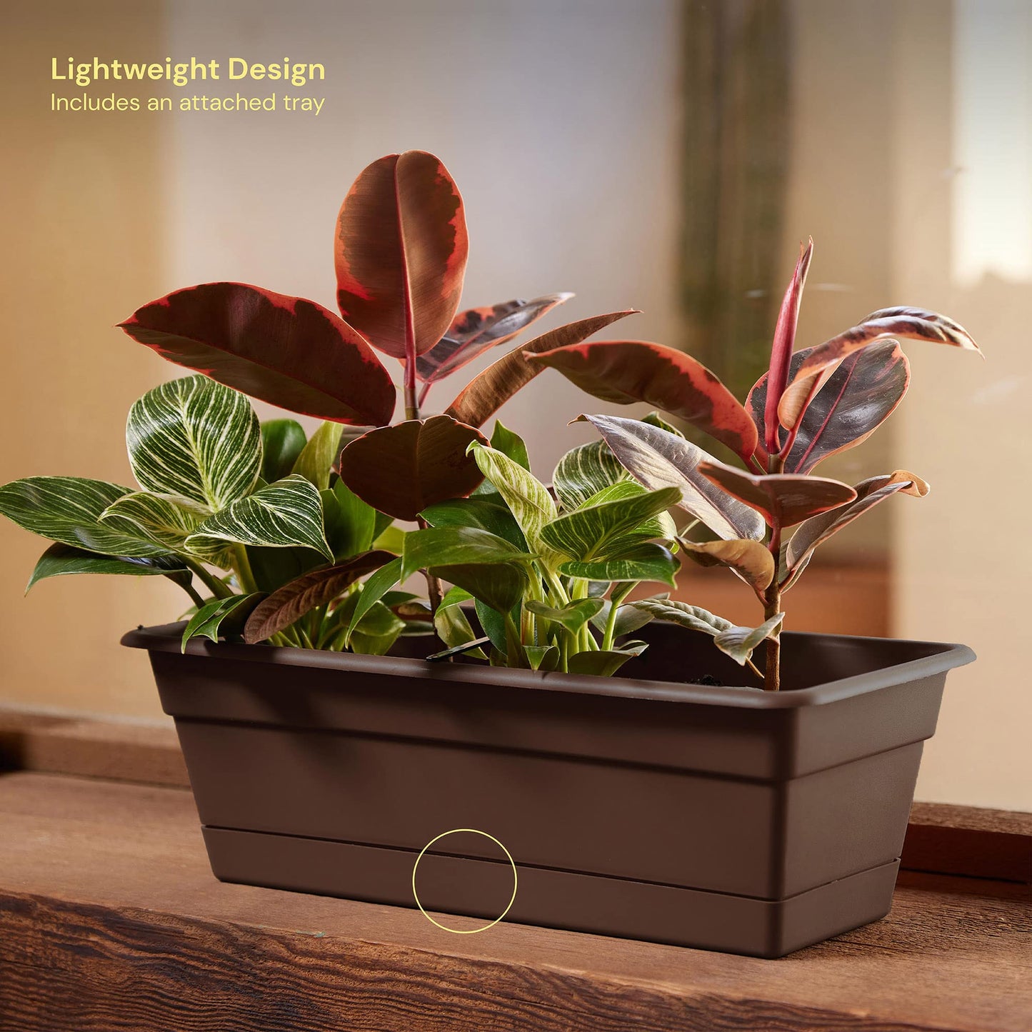 Bloem Dura Cotta Window Box Planter w/Tray, 18", Chocolate (DCBT18-45), 2 Gallon