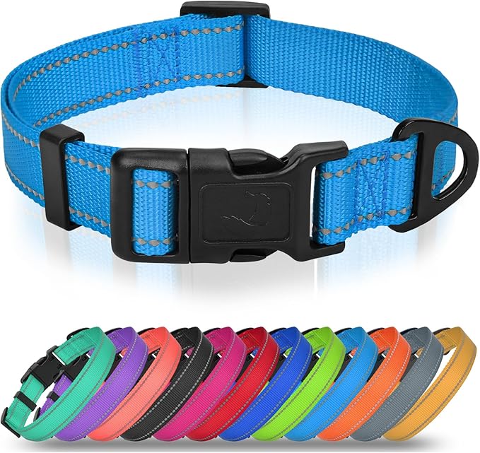 Joytale Feather-Light Dog Collar for Medium & Large Dogs, 1", Red